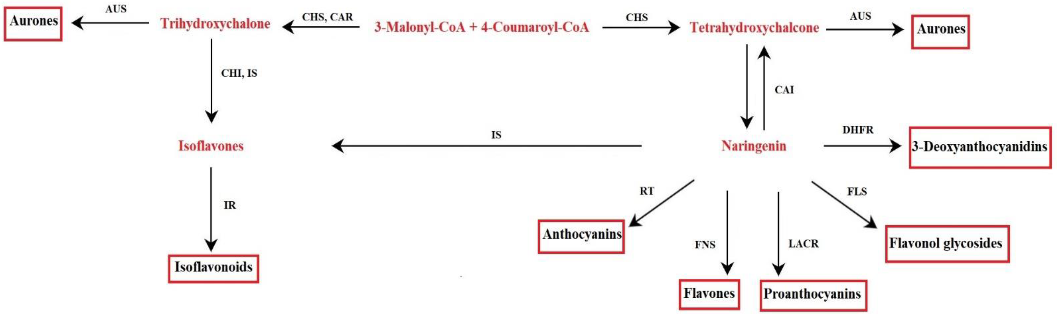 Molecules 26 03583 g002 Molecules 26 03583 g002