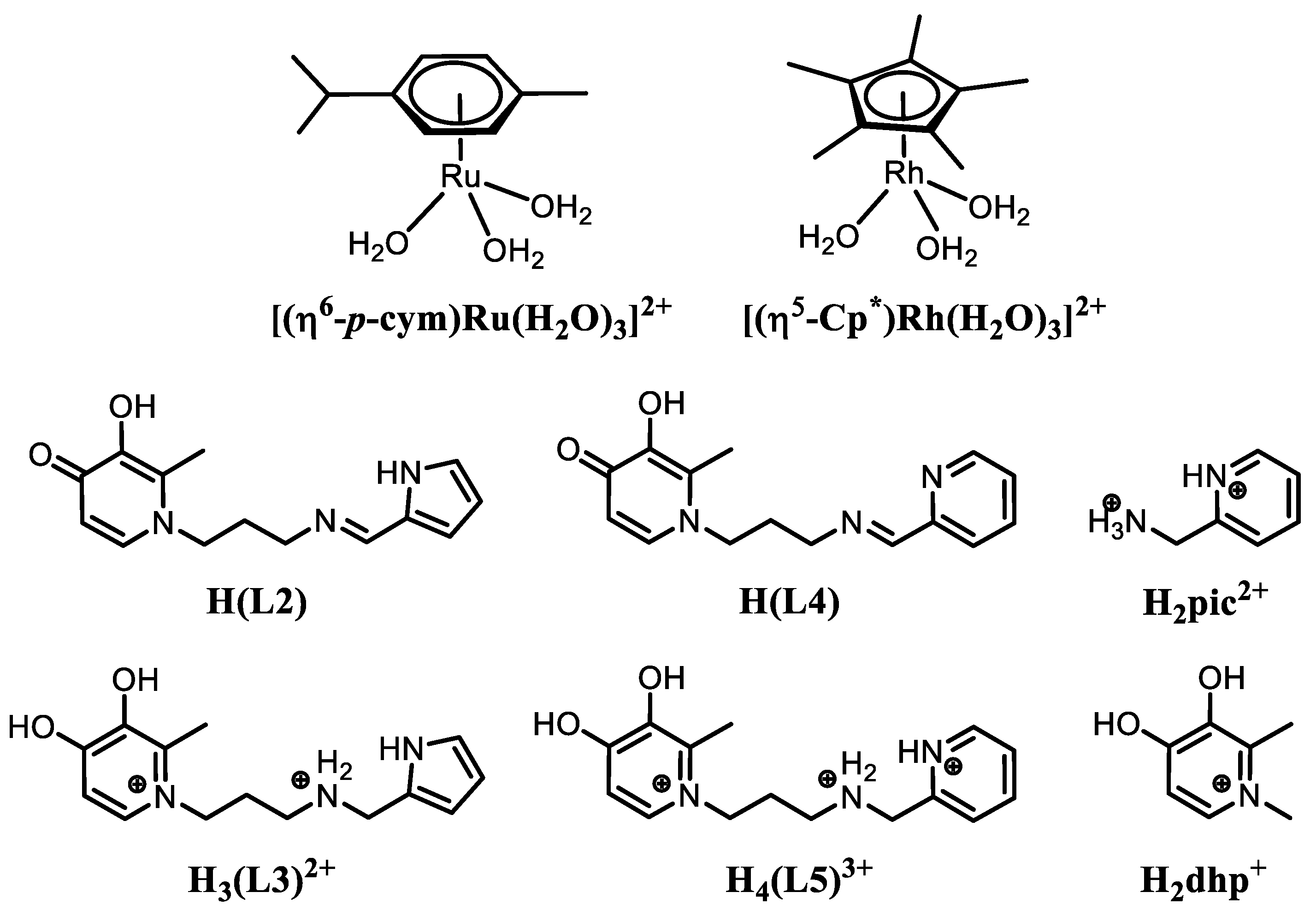 Molecules 26 03586 g001