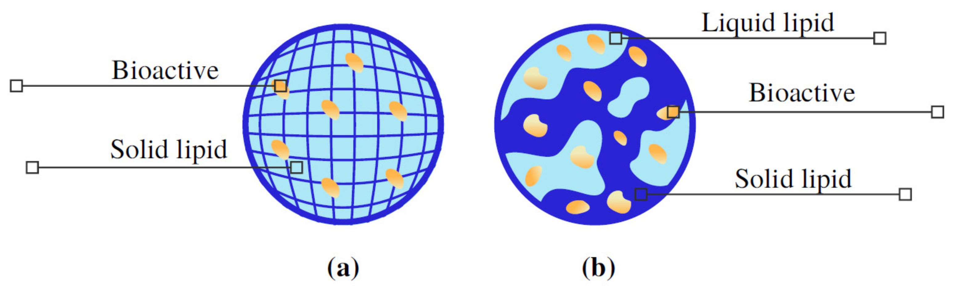 Molecules 26 03587 g002 Molecules 26 03587 g002