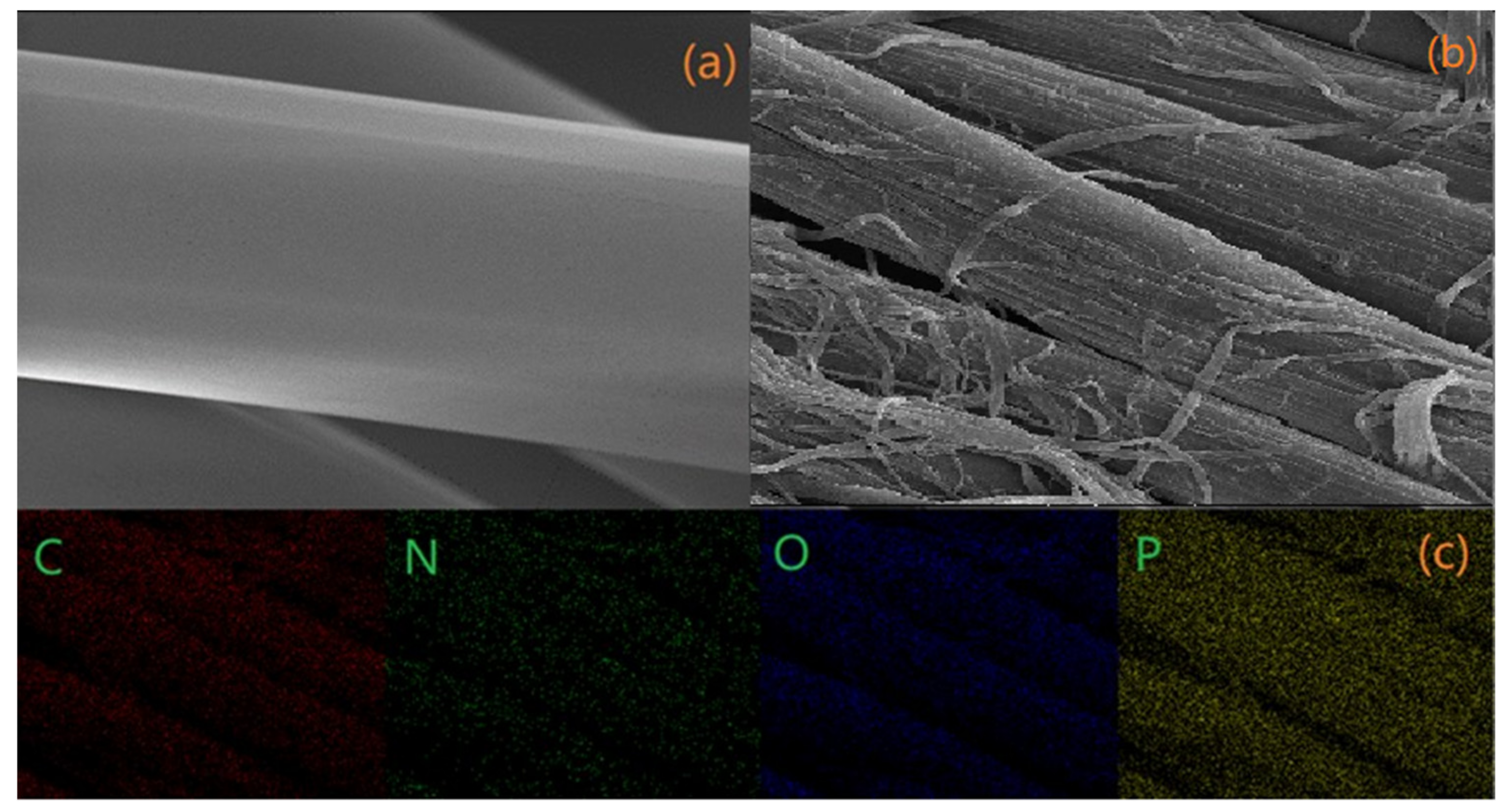 Molecules 26 03588 g005a