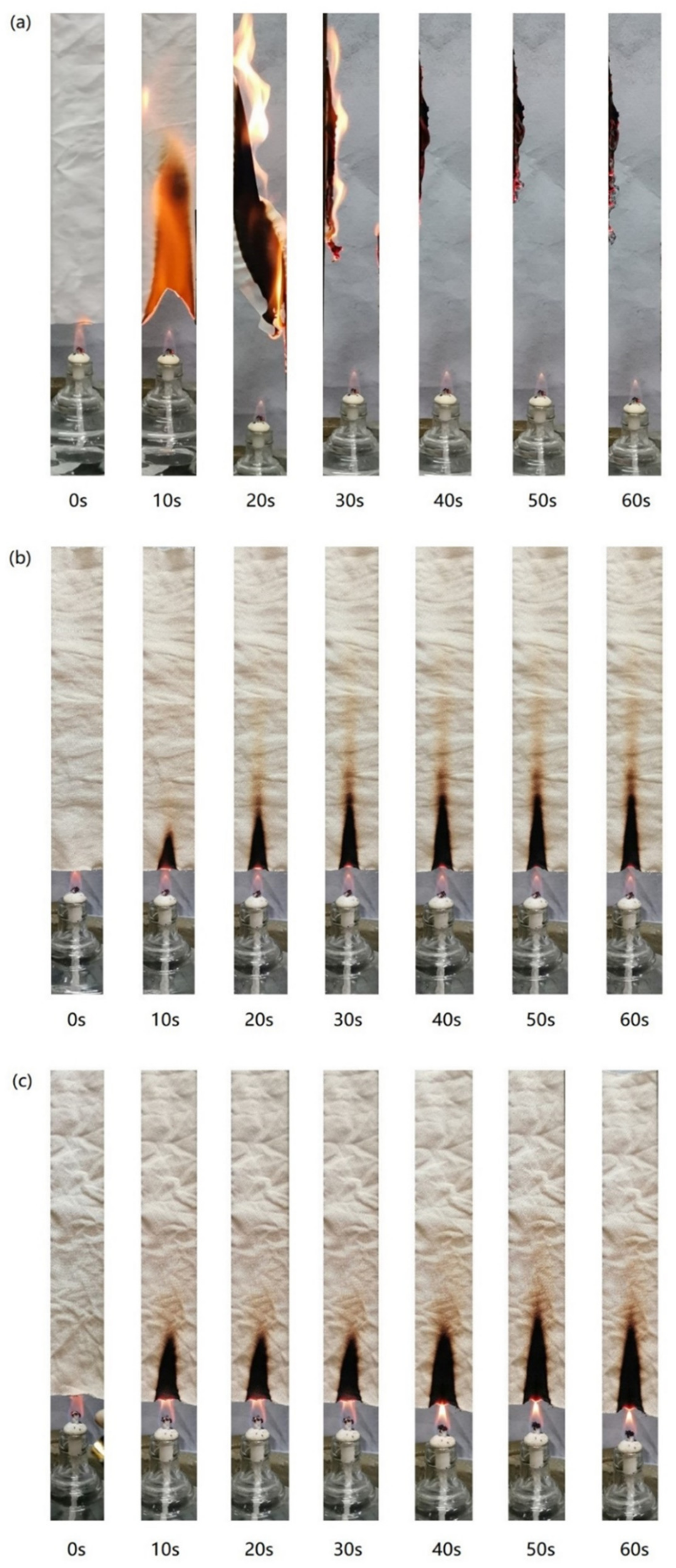Molecules 26 03588 g008