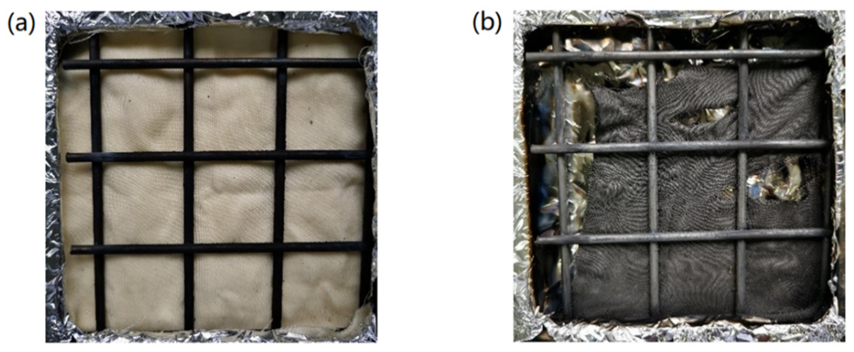 Molecules 26 03588 g010
