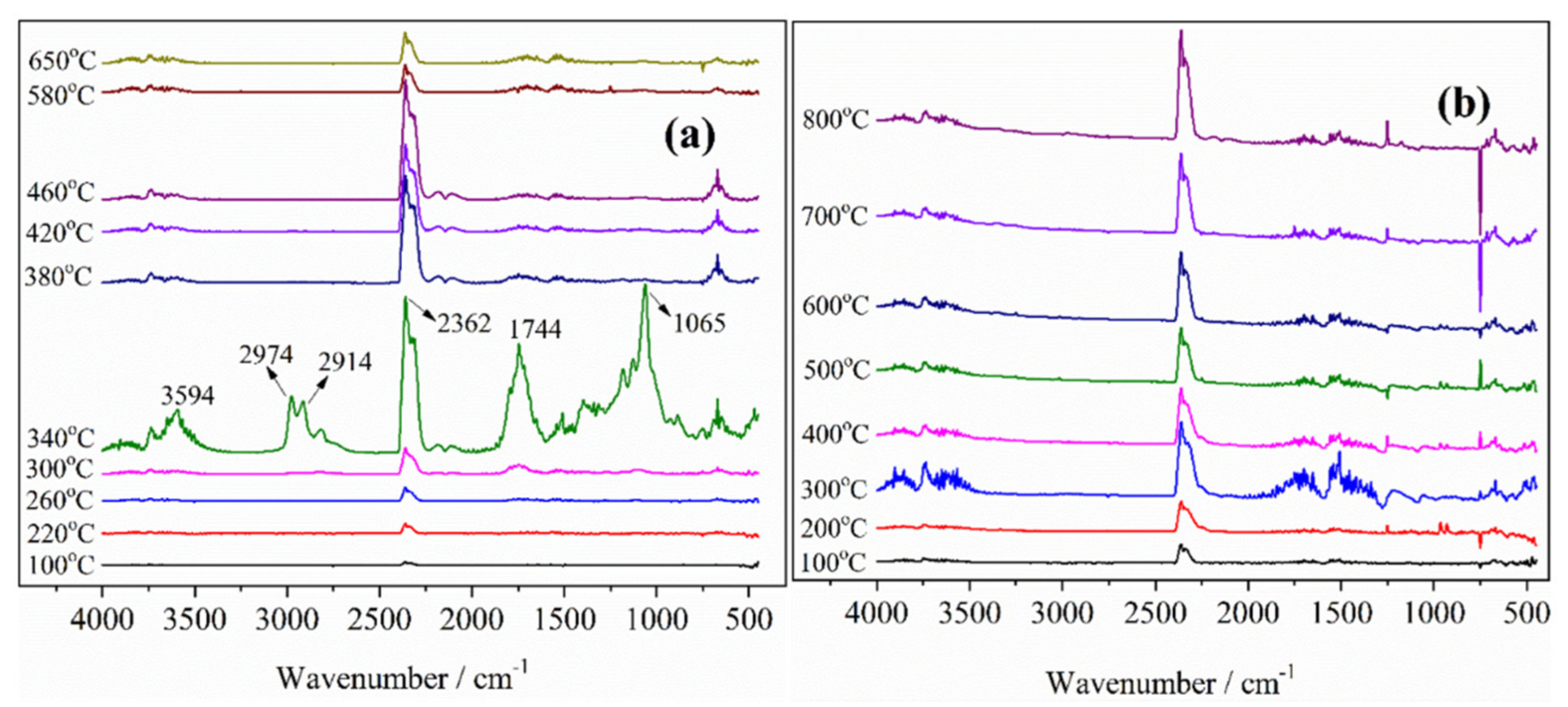 Molecules 26 03588 g012