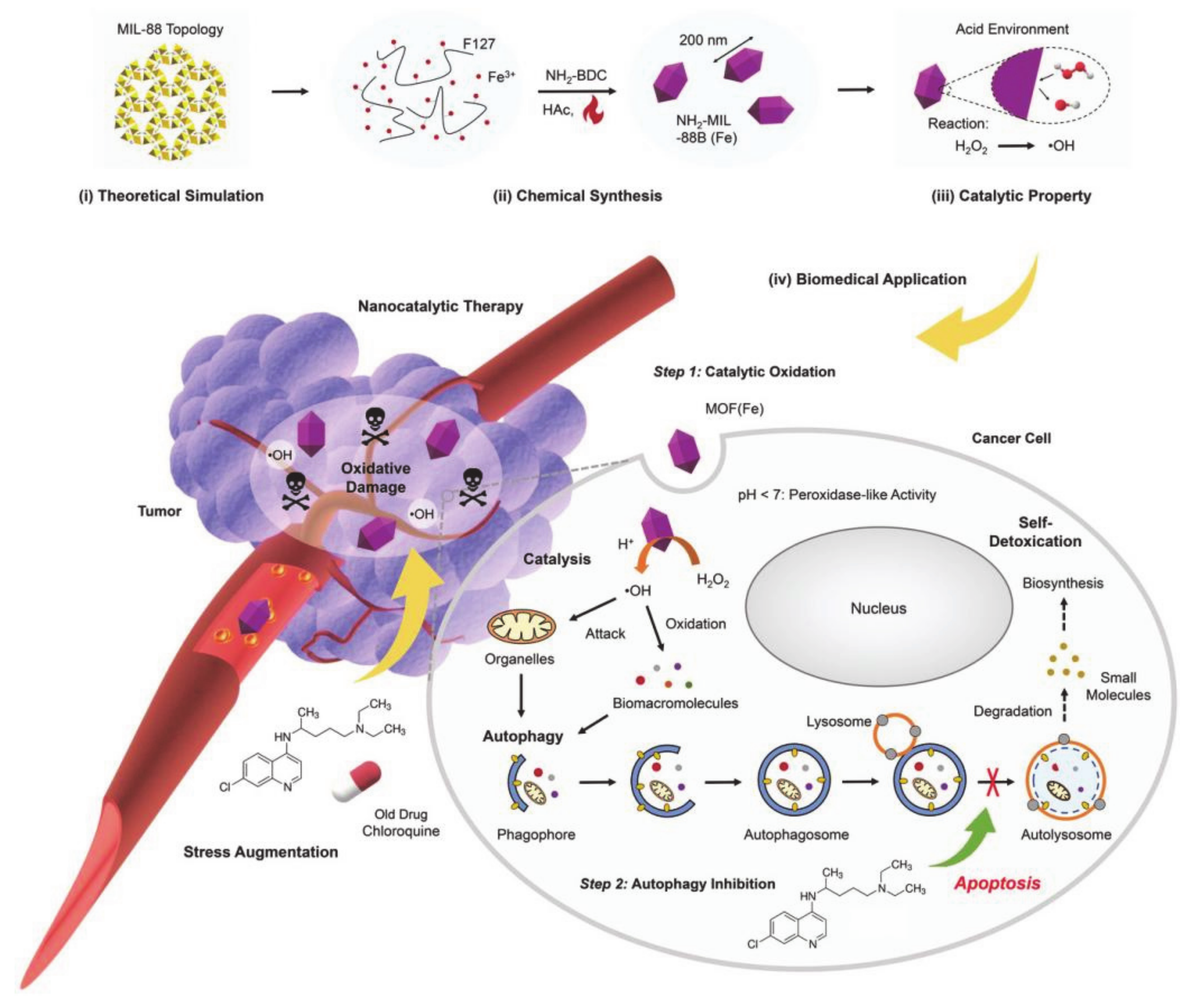 Molecules 26 03610 g003