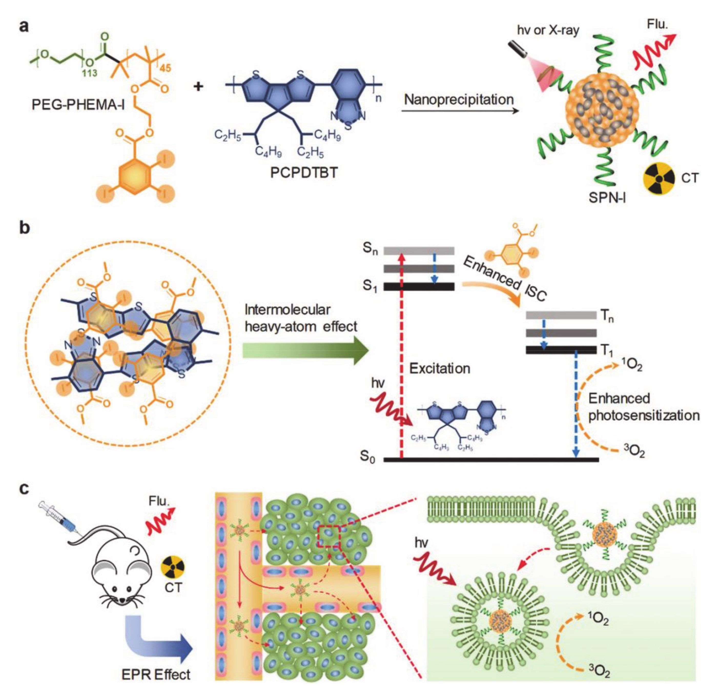 Molecules 26 03610 g006