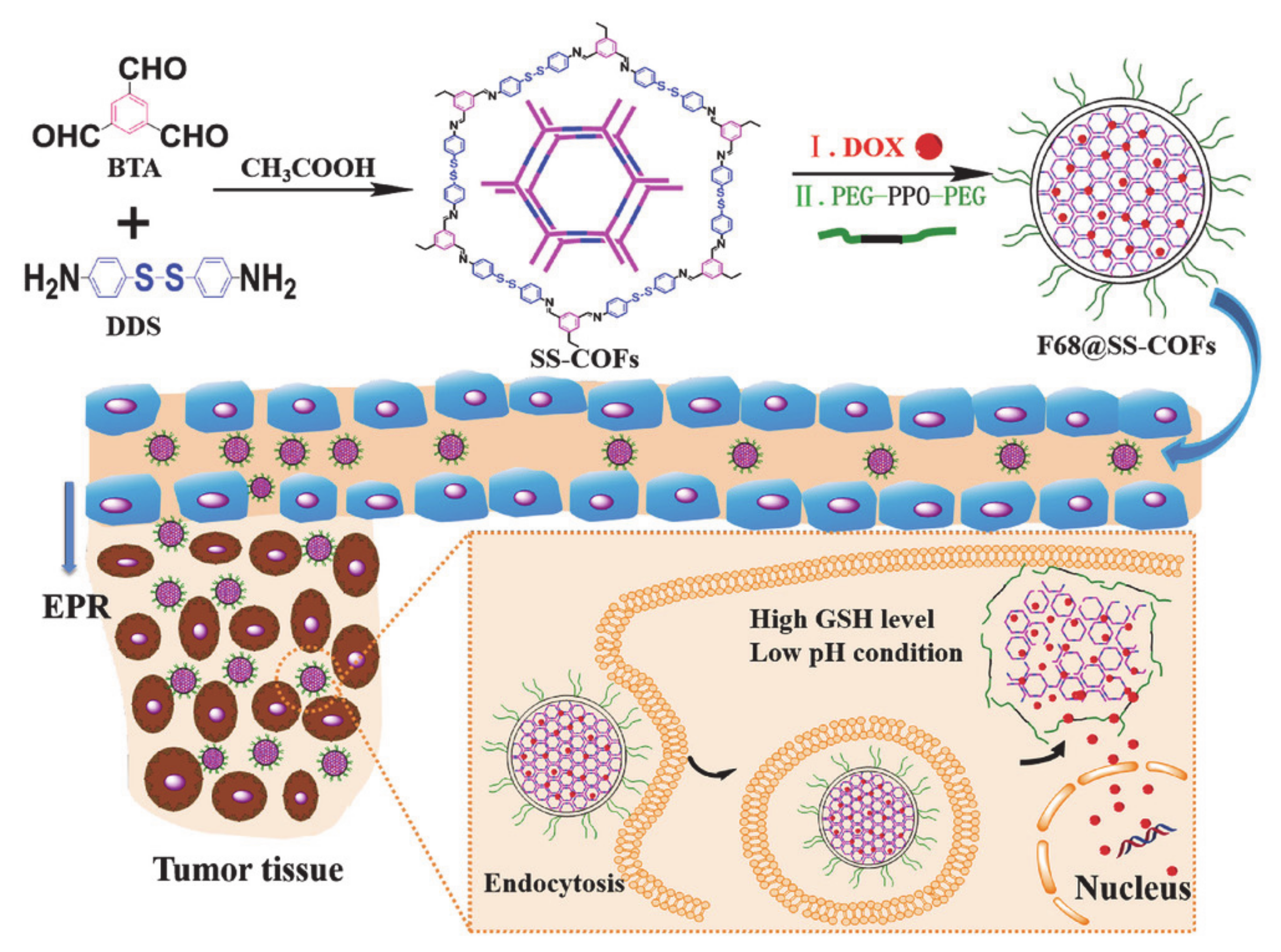 Molecules 26 03610 g008