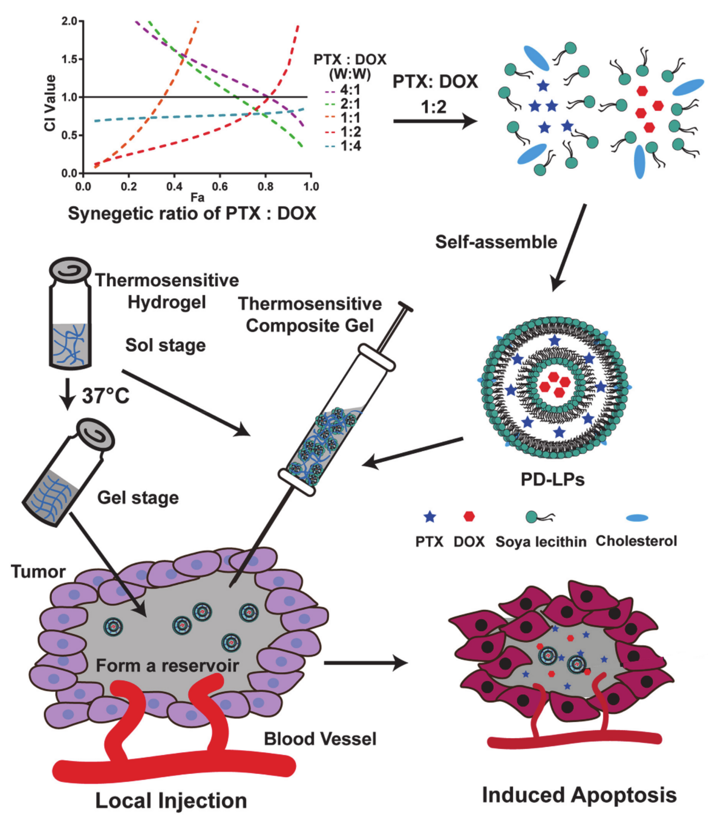 Molecules 26 03610 g009
