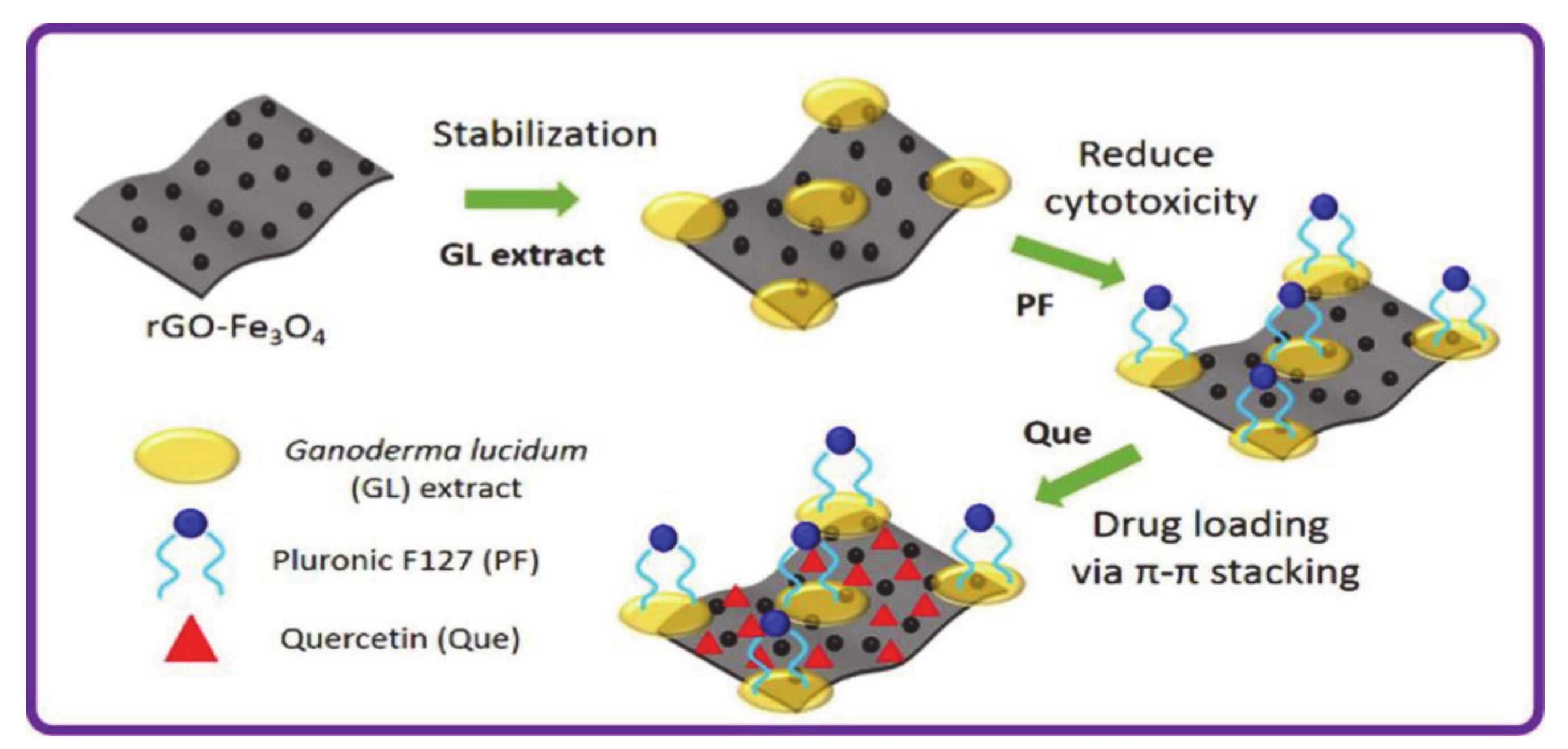 Molecules 26 03610 g010