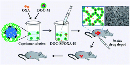 Molecules 26 03610 g012