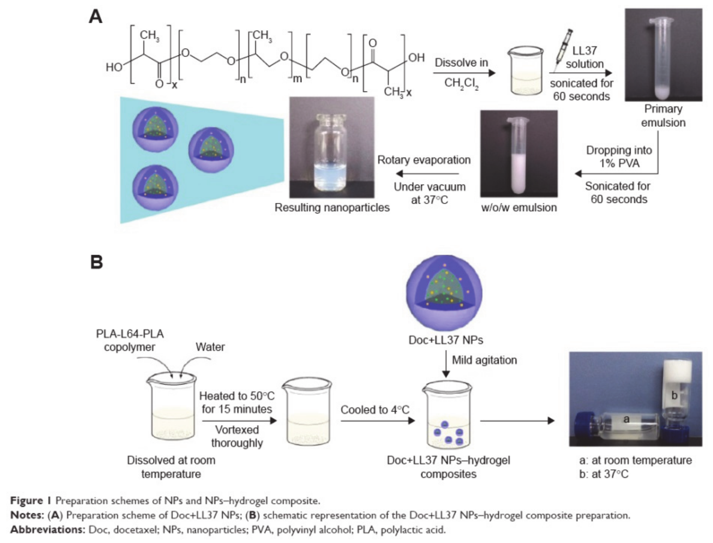 Molecules 26 03610 g013