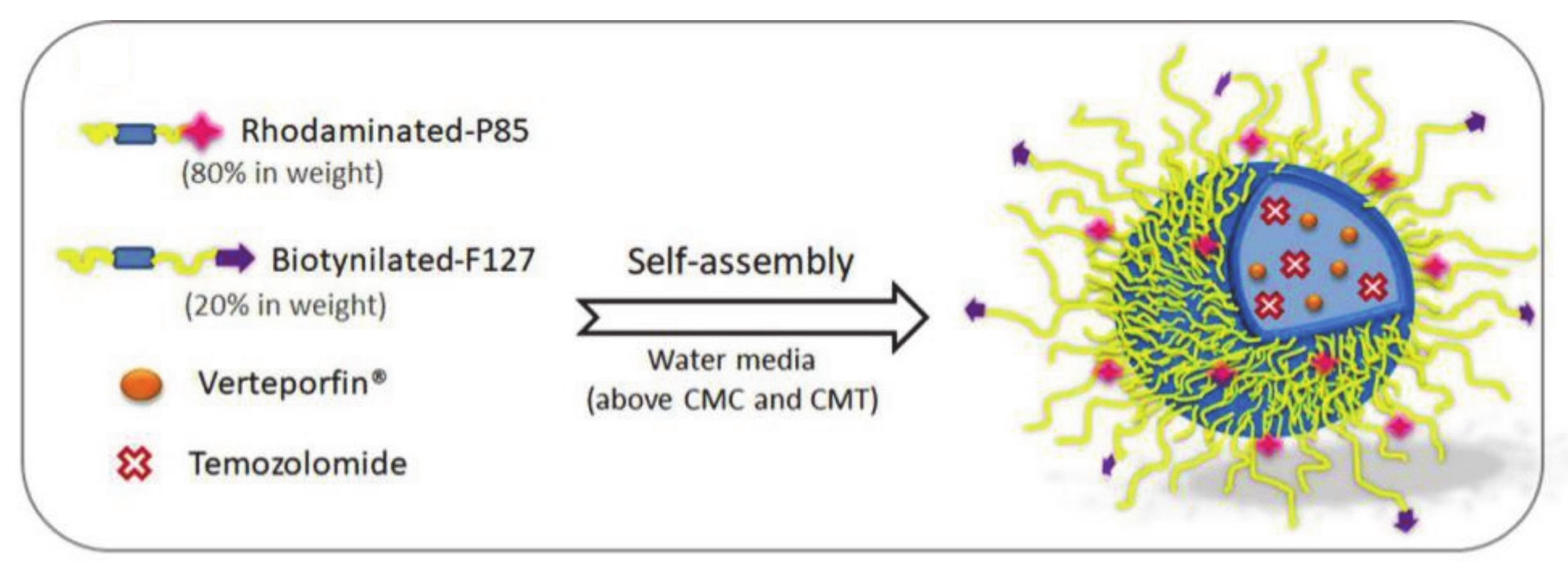 Molecules 26 03610 g014