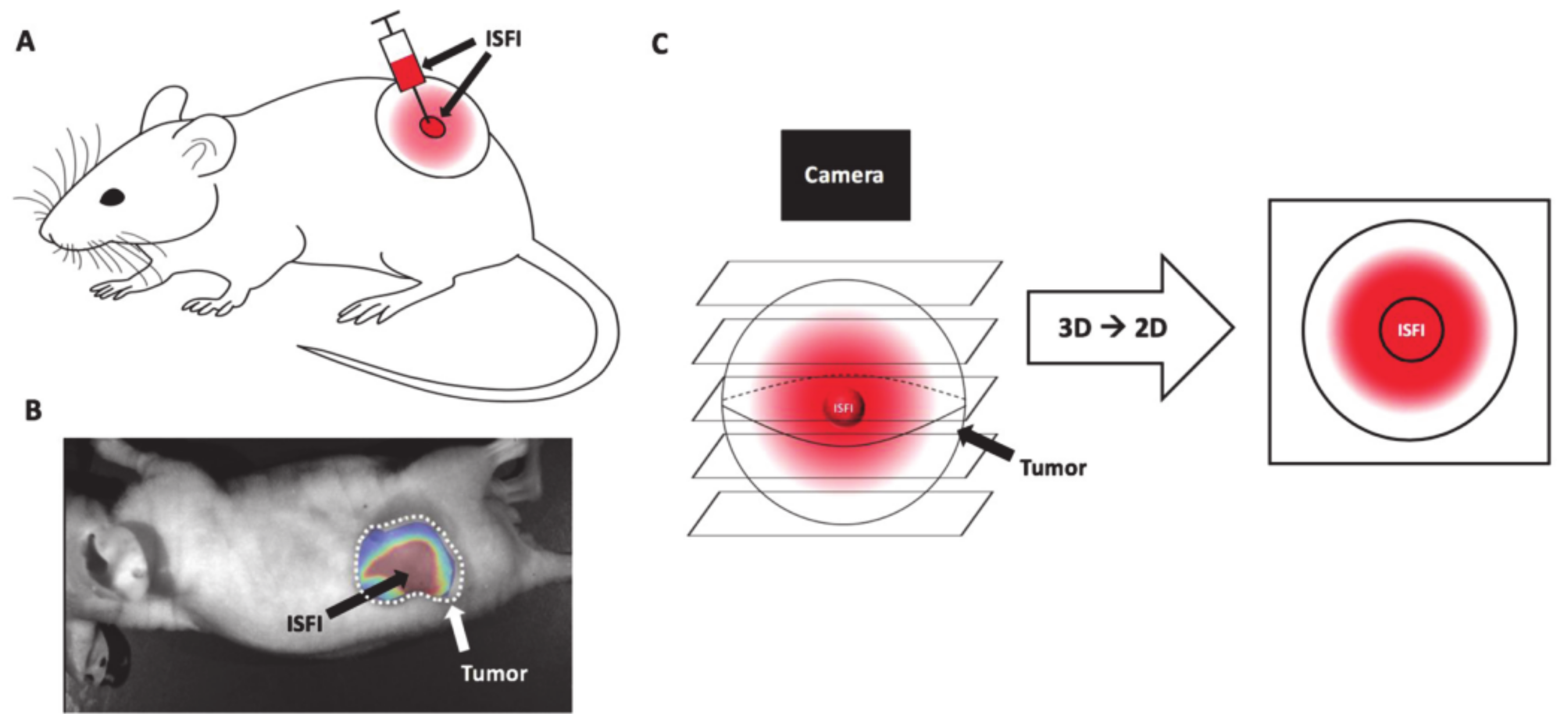 Molecules 26 03610 g015