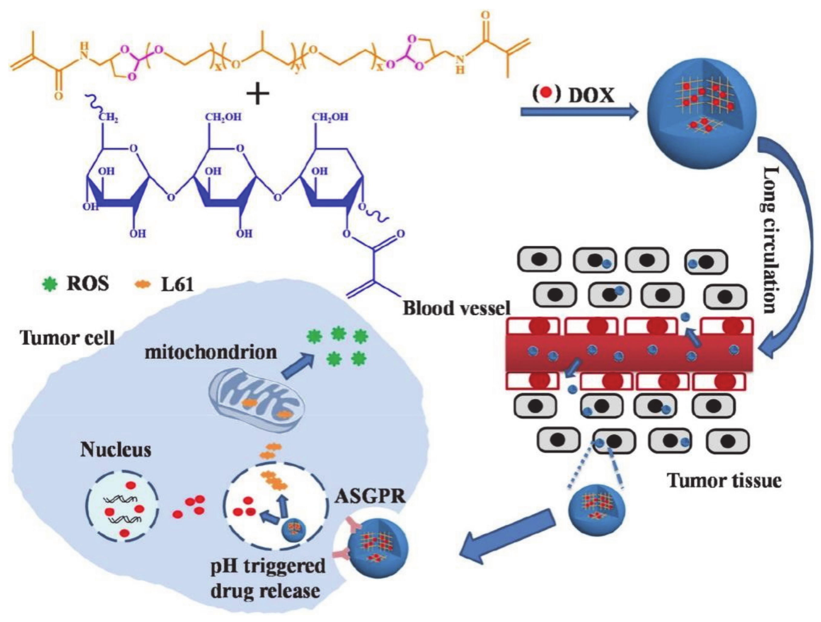 Molecules 26 03610 g016