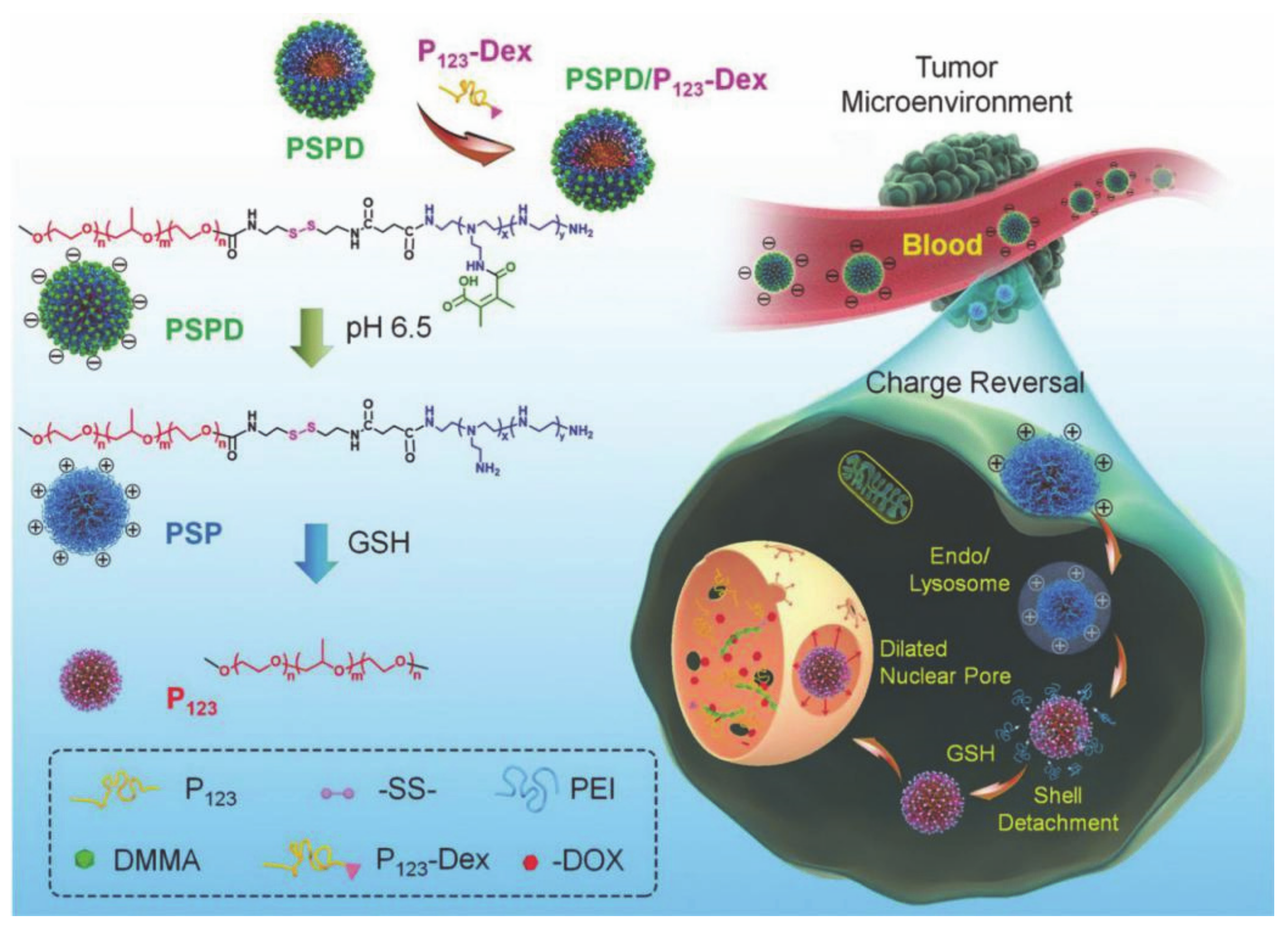 Molecules 26 03610 g018