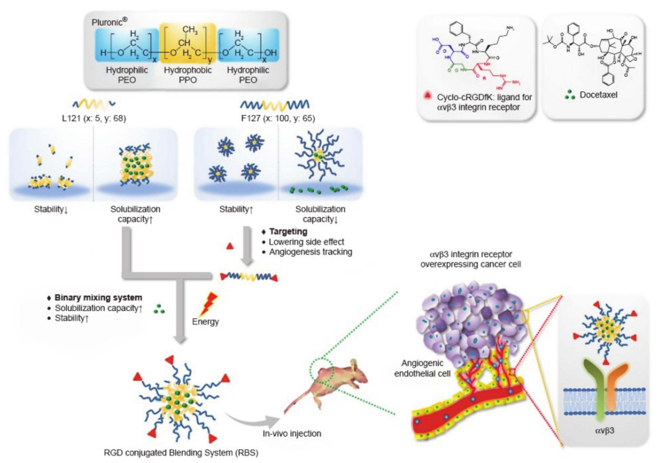 Molecules 26 03610 g019
