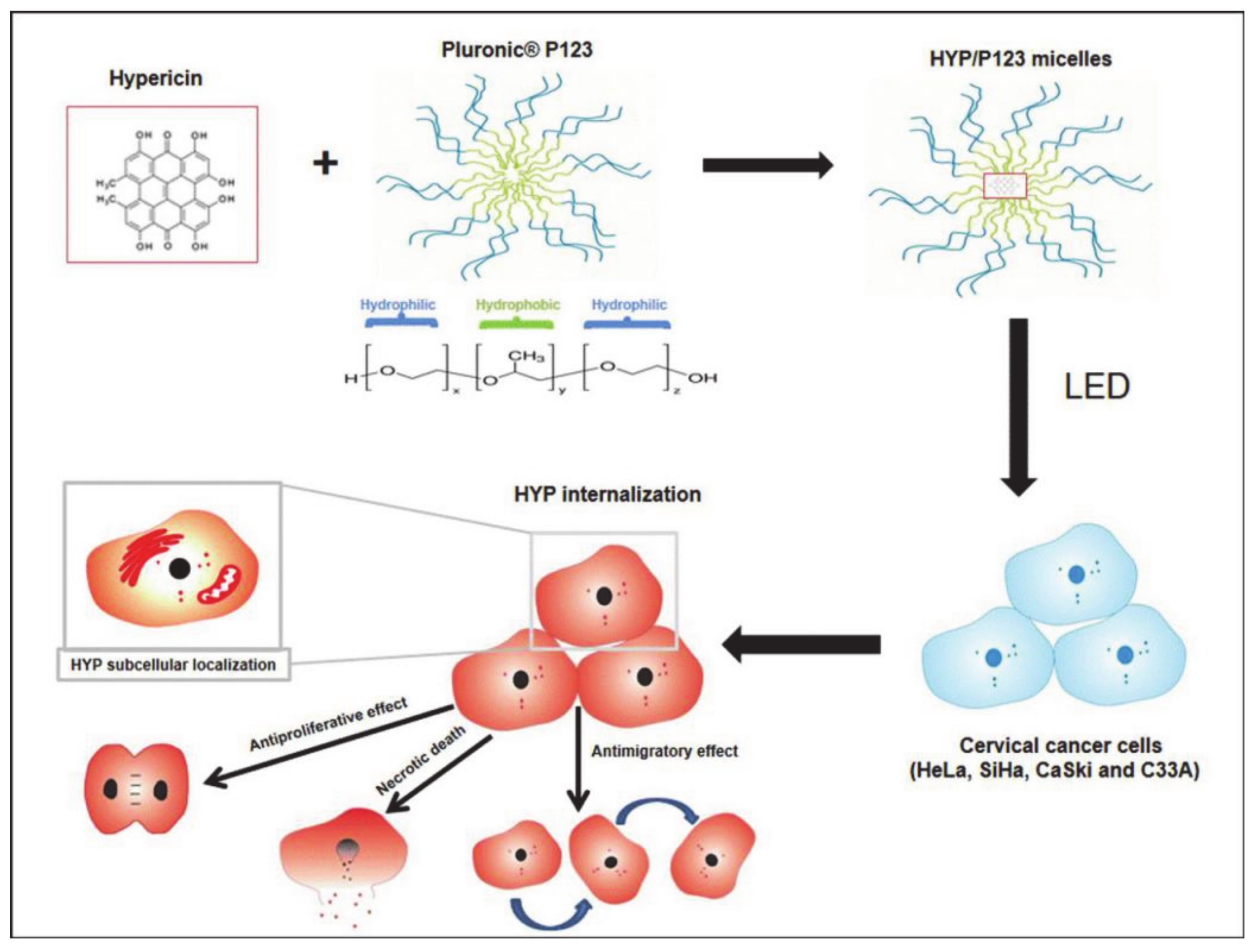 Molecules 26 03610 g021