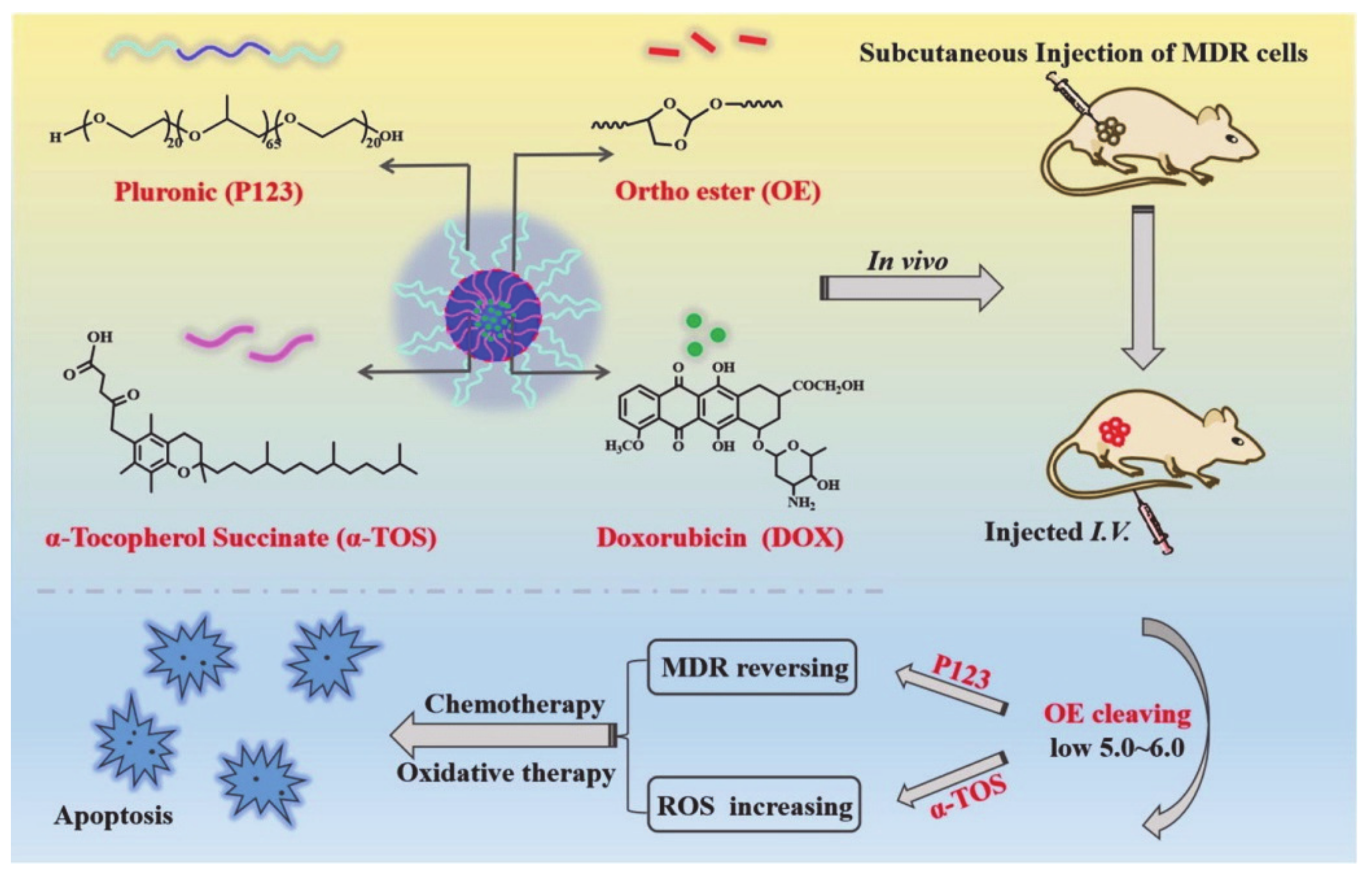 Molecules 26 03610 g022