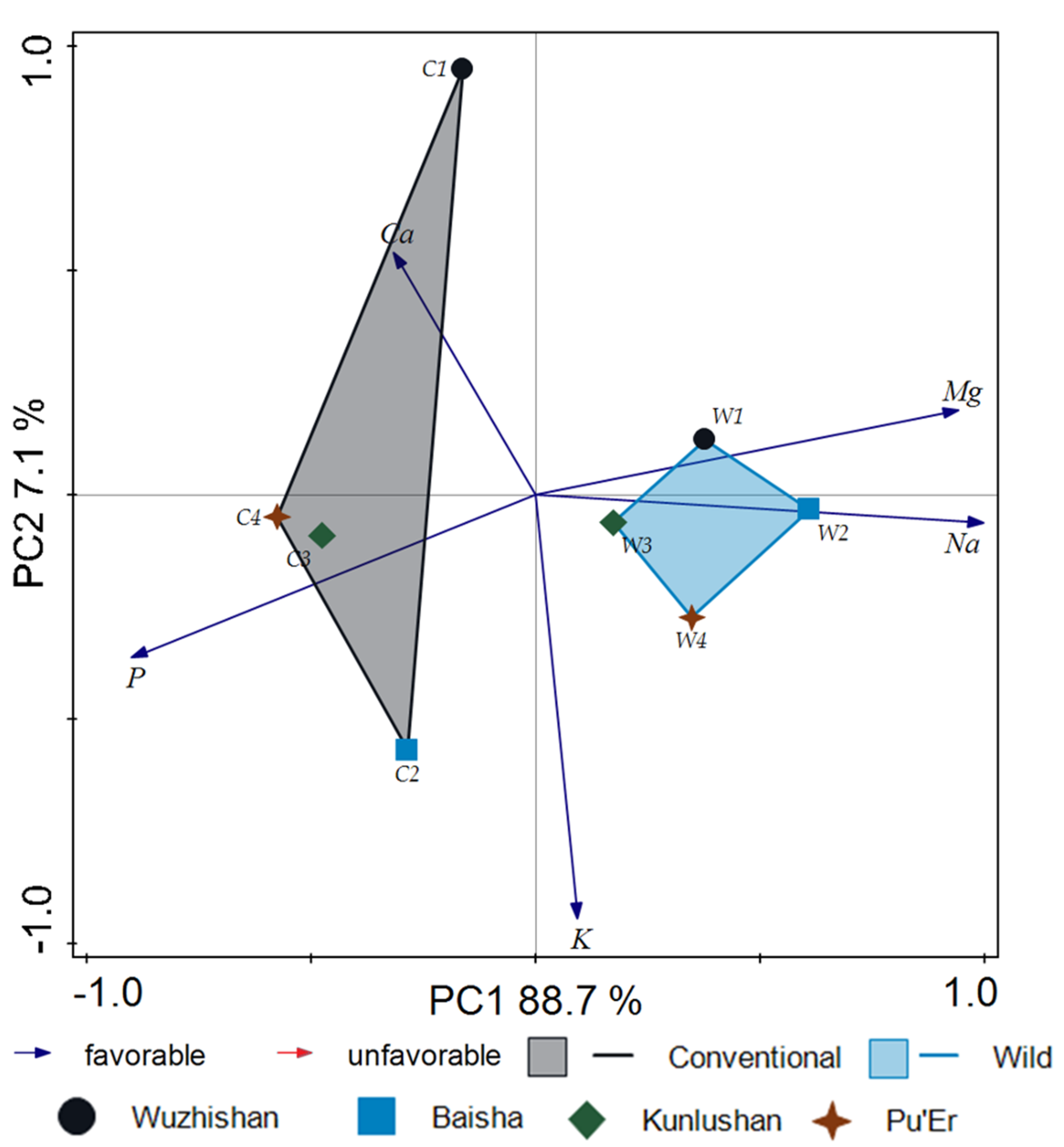Molecules 26 03620 g007 Molecules 26 03620 g007