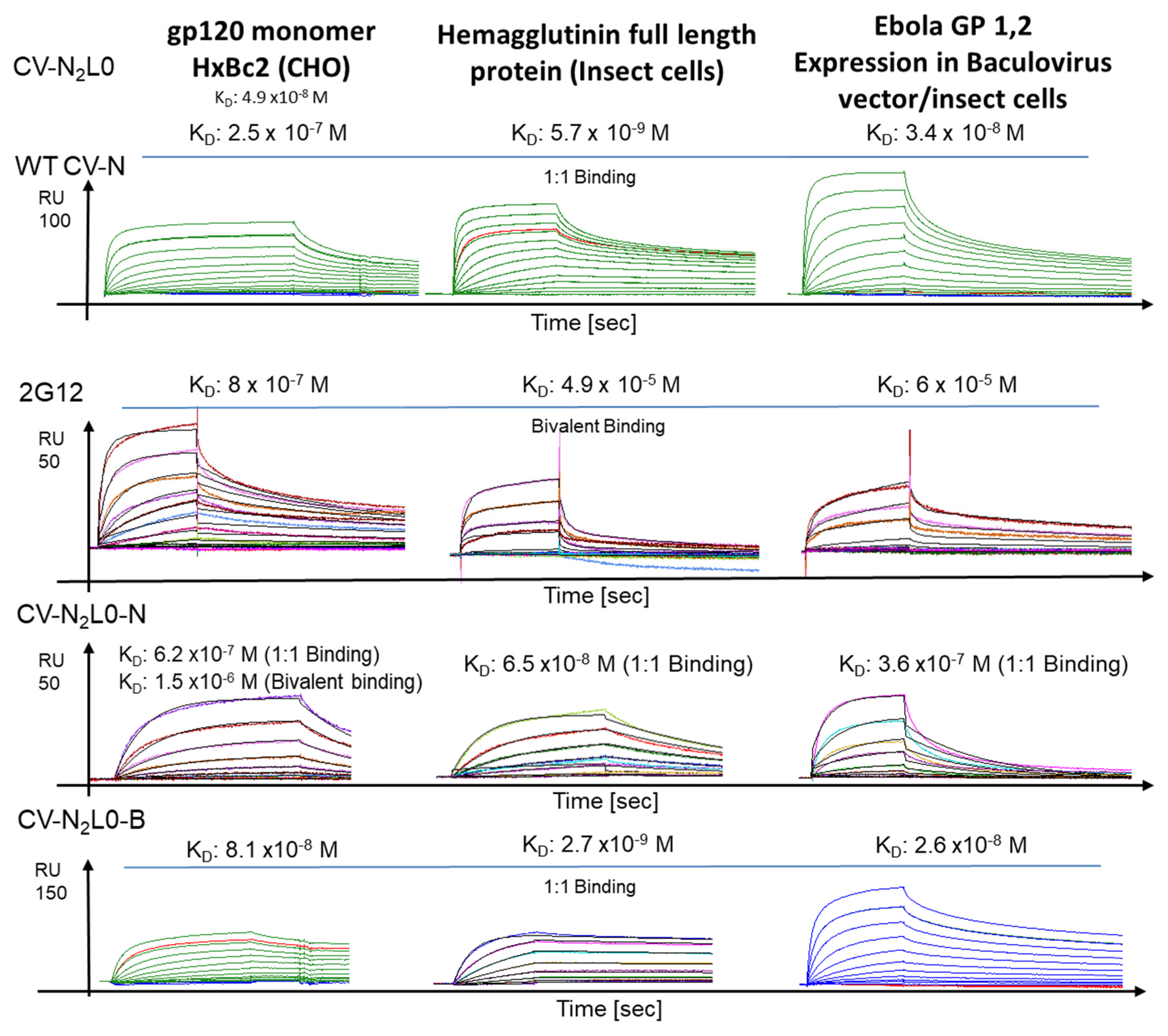 Molecules 26 03621 g001