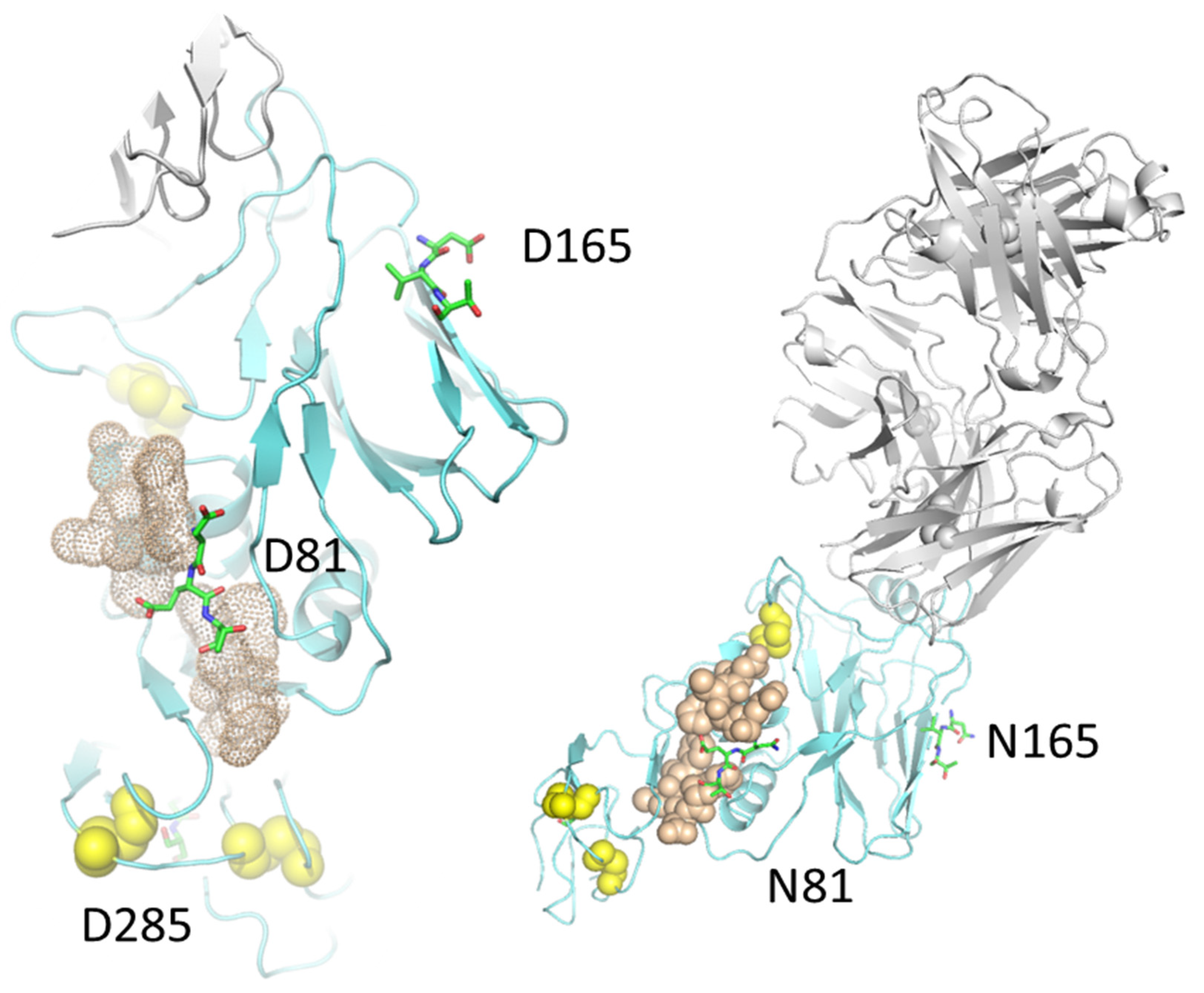 Molecules 26 03621 g002