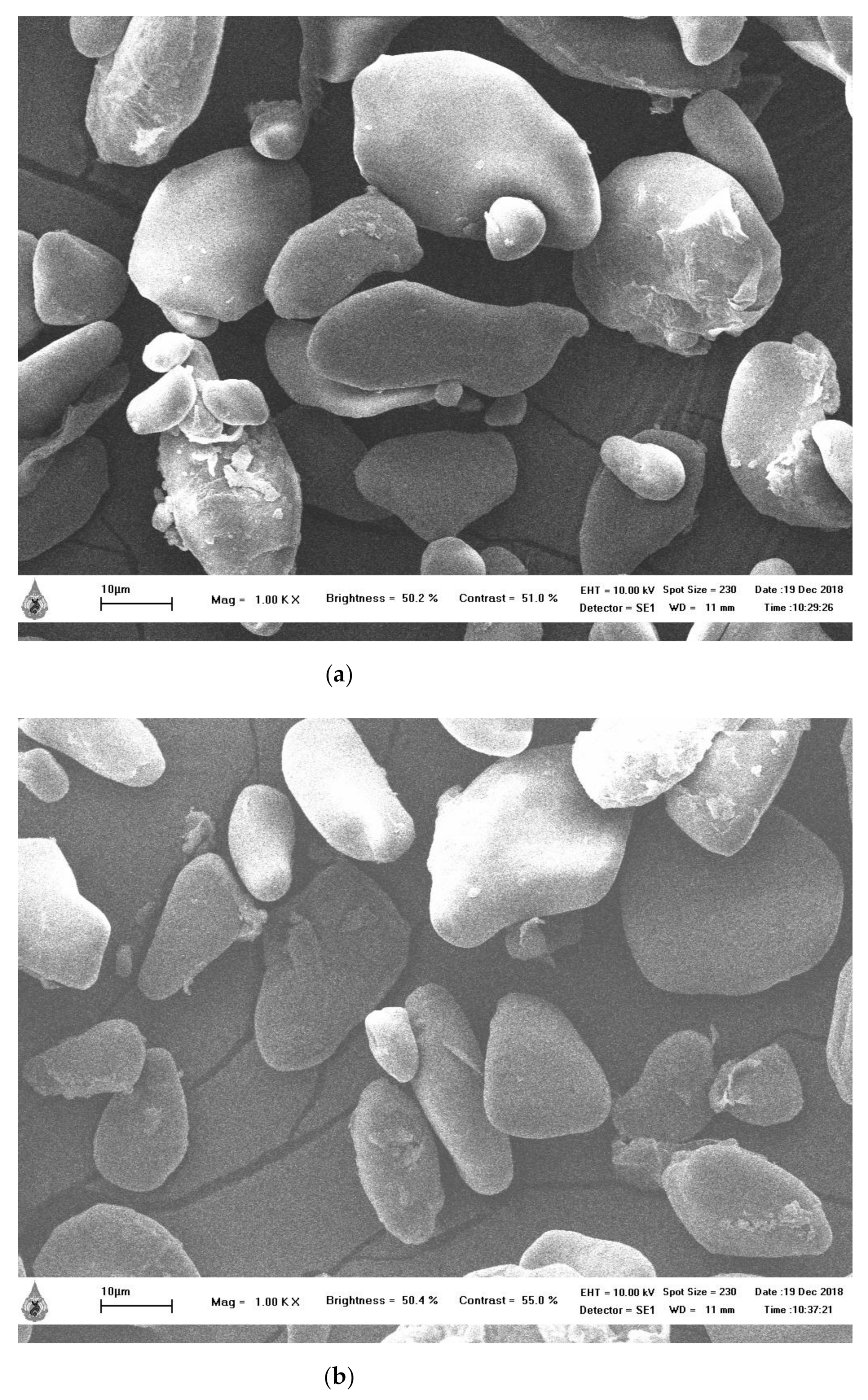 Molecules 26 03637 g002 Molecules 26 03637 g002
