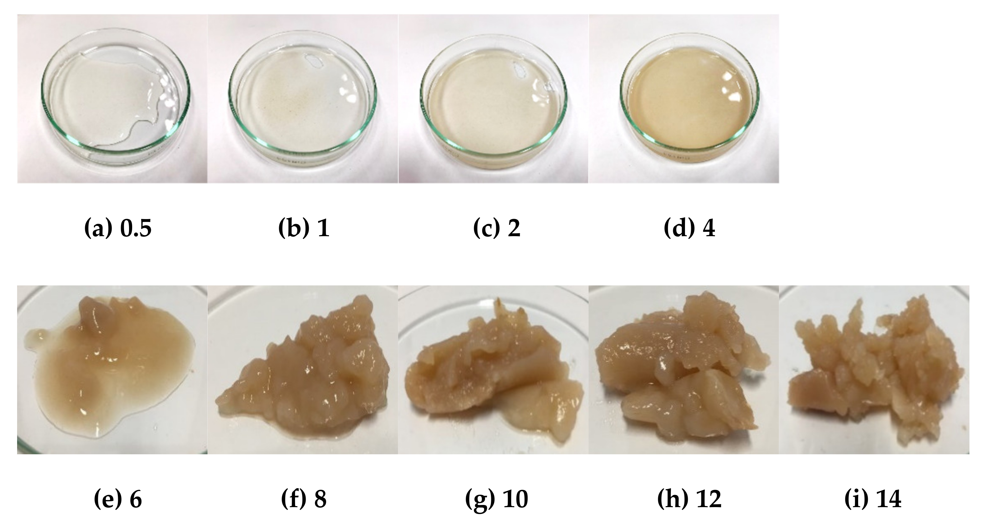 Molecules 26 03637 g006 Molecules 26 03637 g006