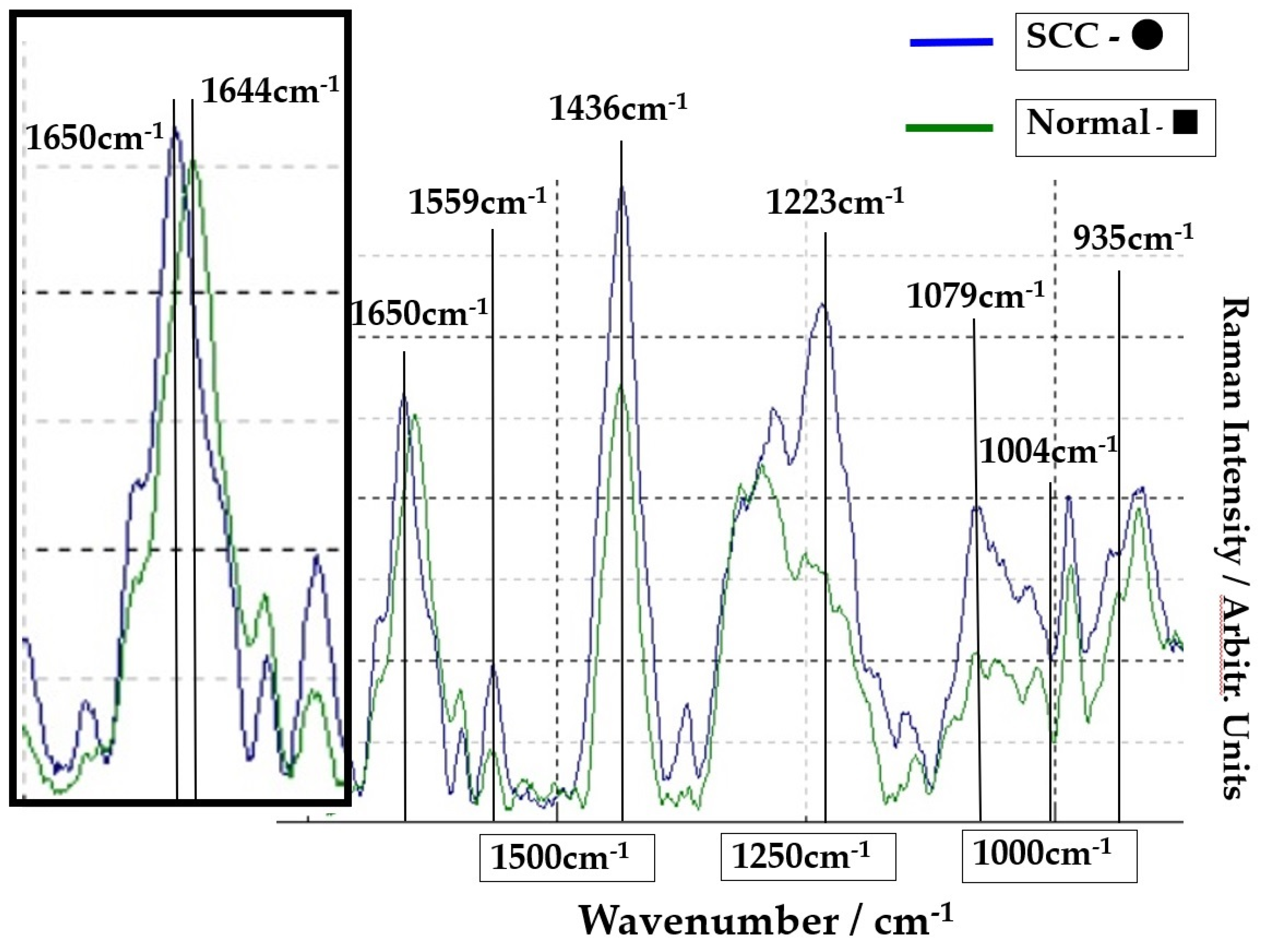 Molecules 26 03640 g002