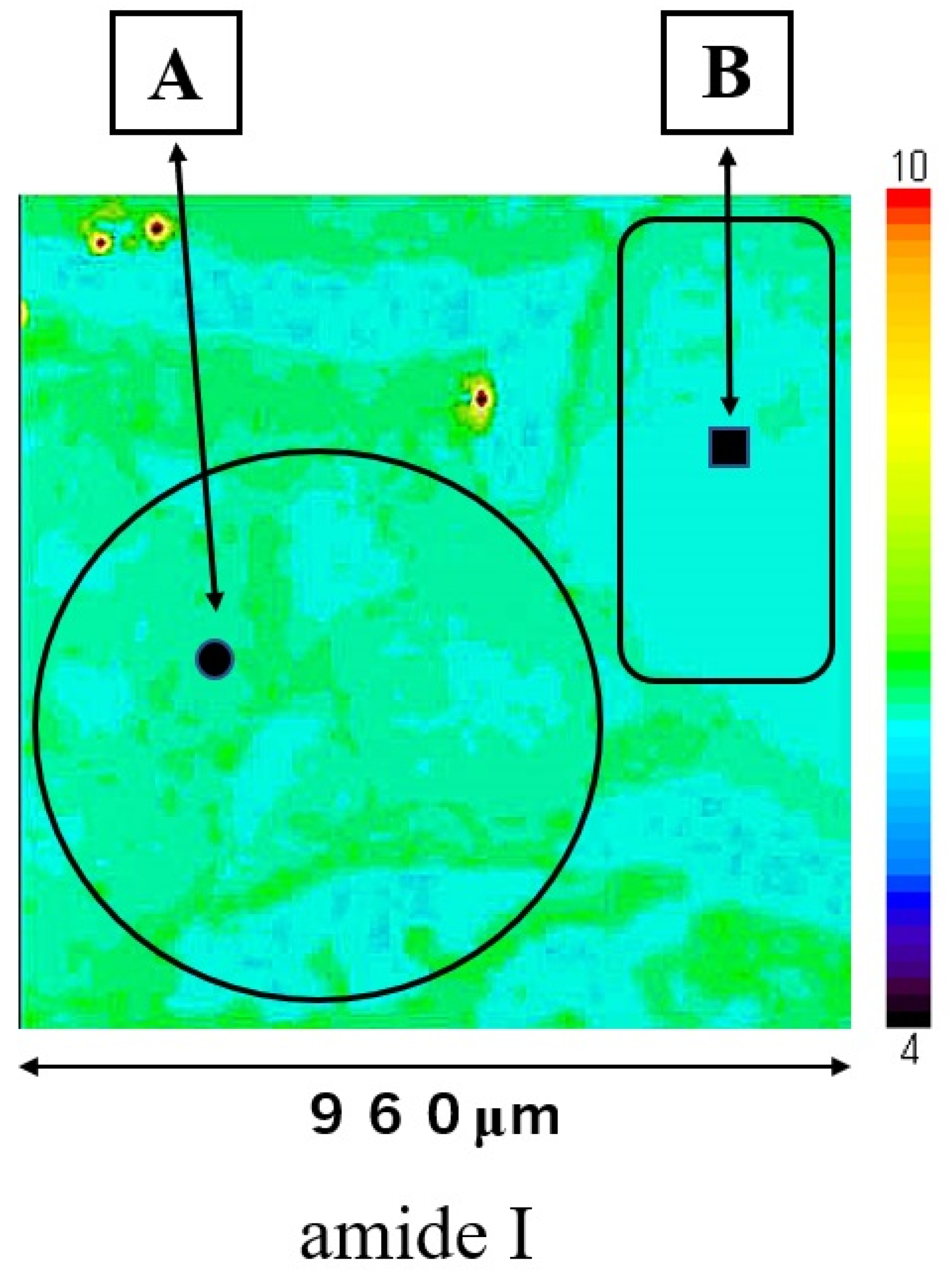 Molecules 26 03640 g003