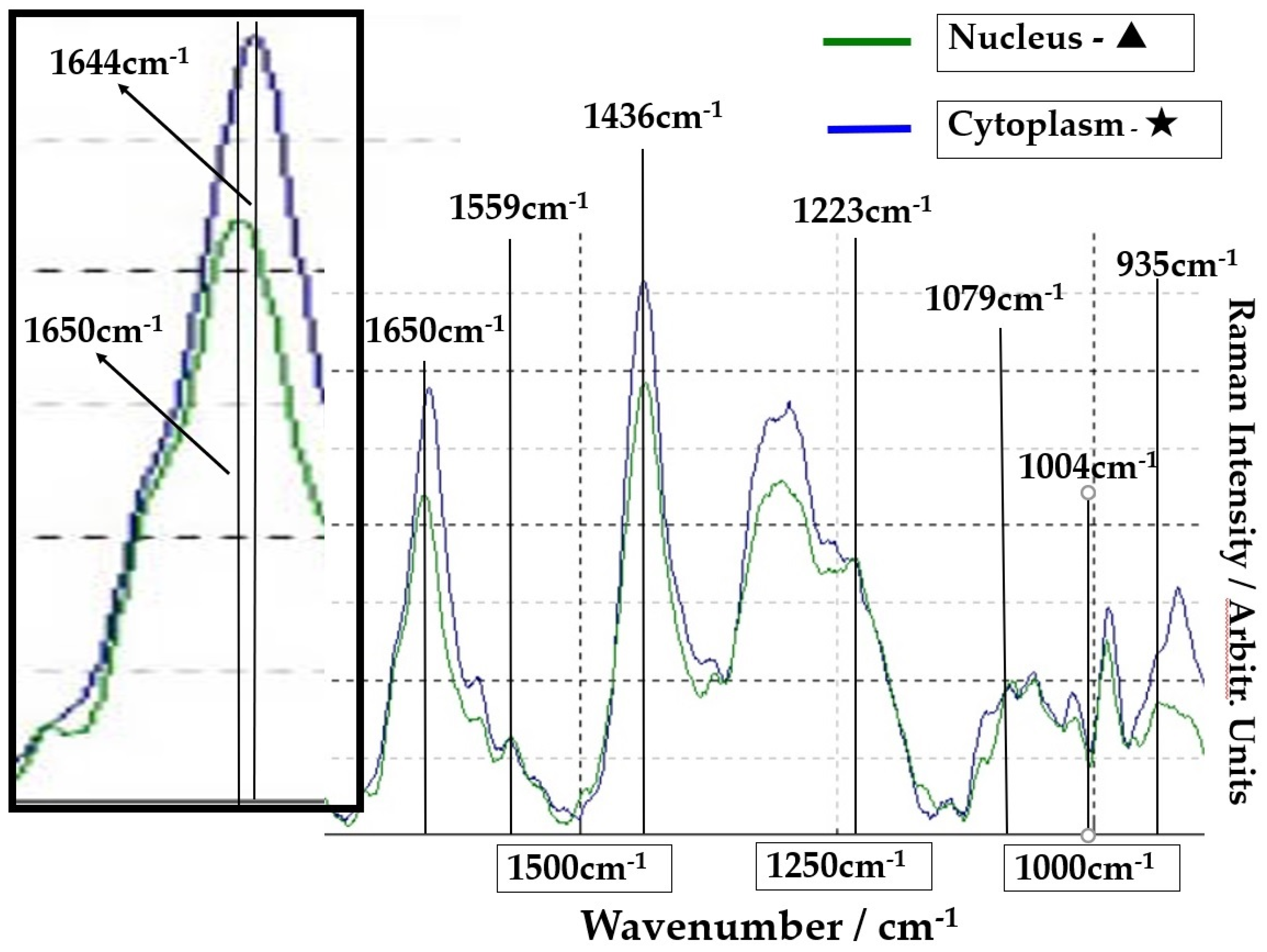 Molecules 26 03640 g005