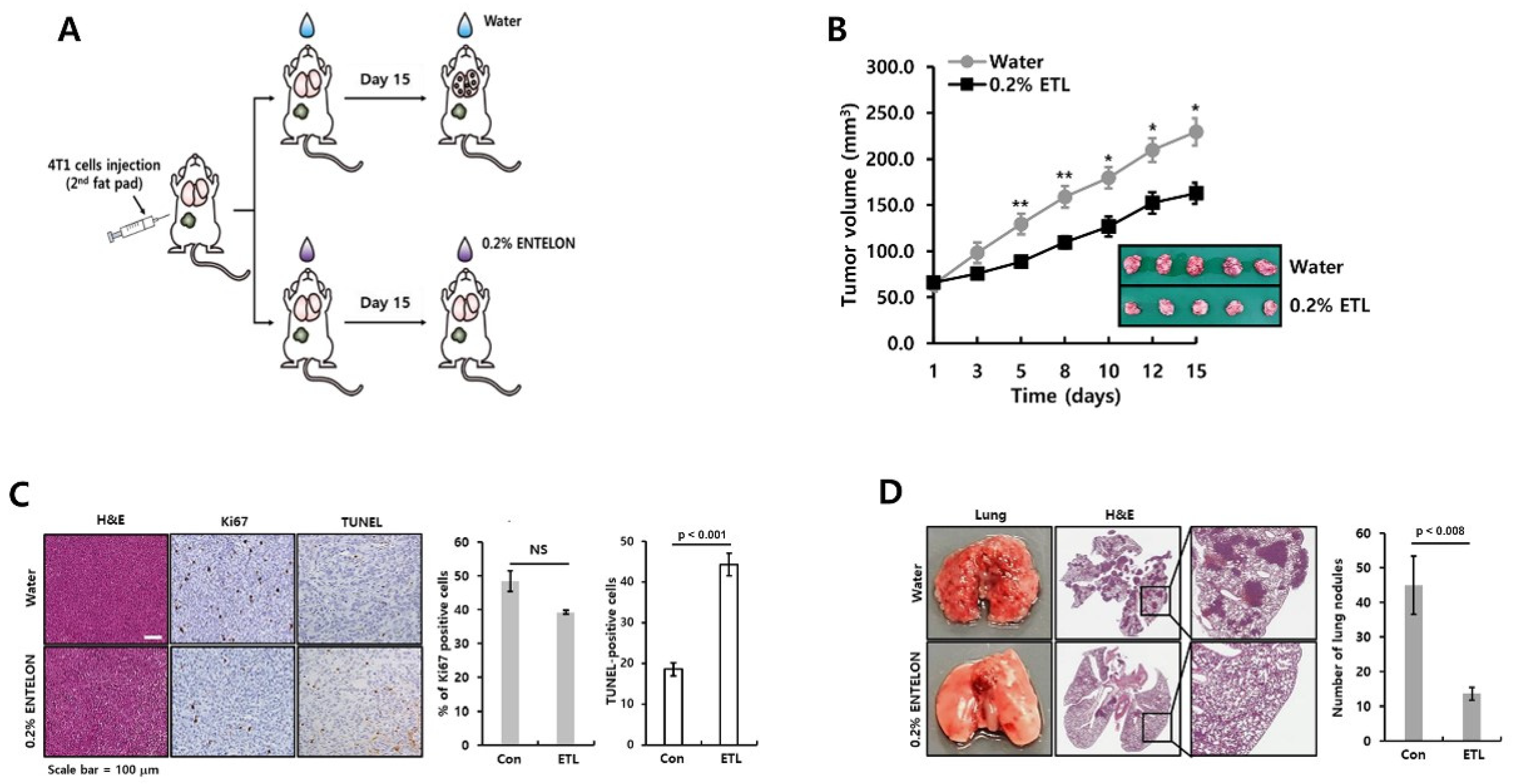 Molecules 26 03644 g007