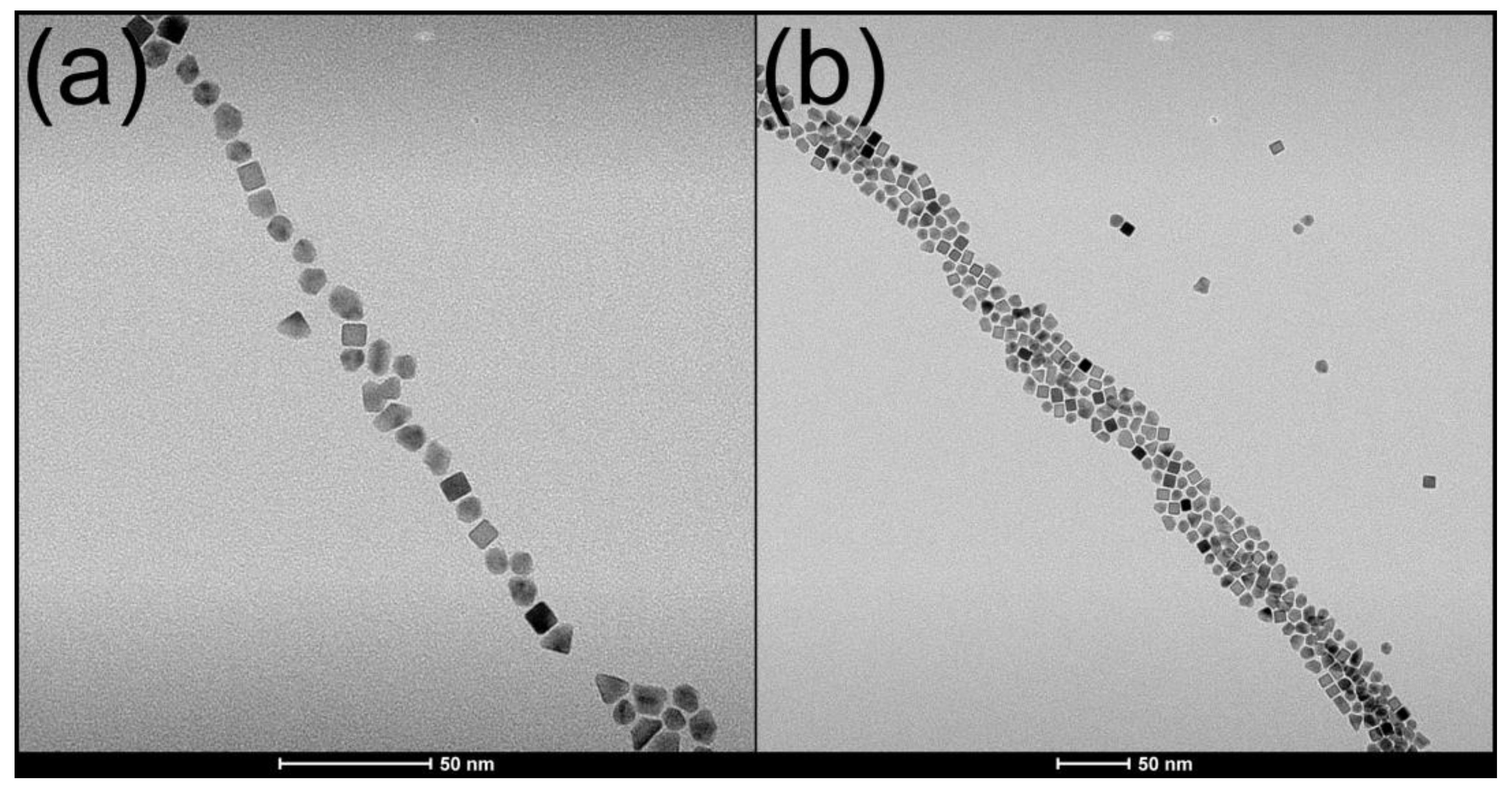Molecules 26 03647 g004