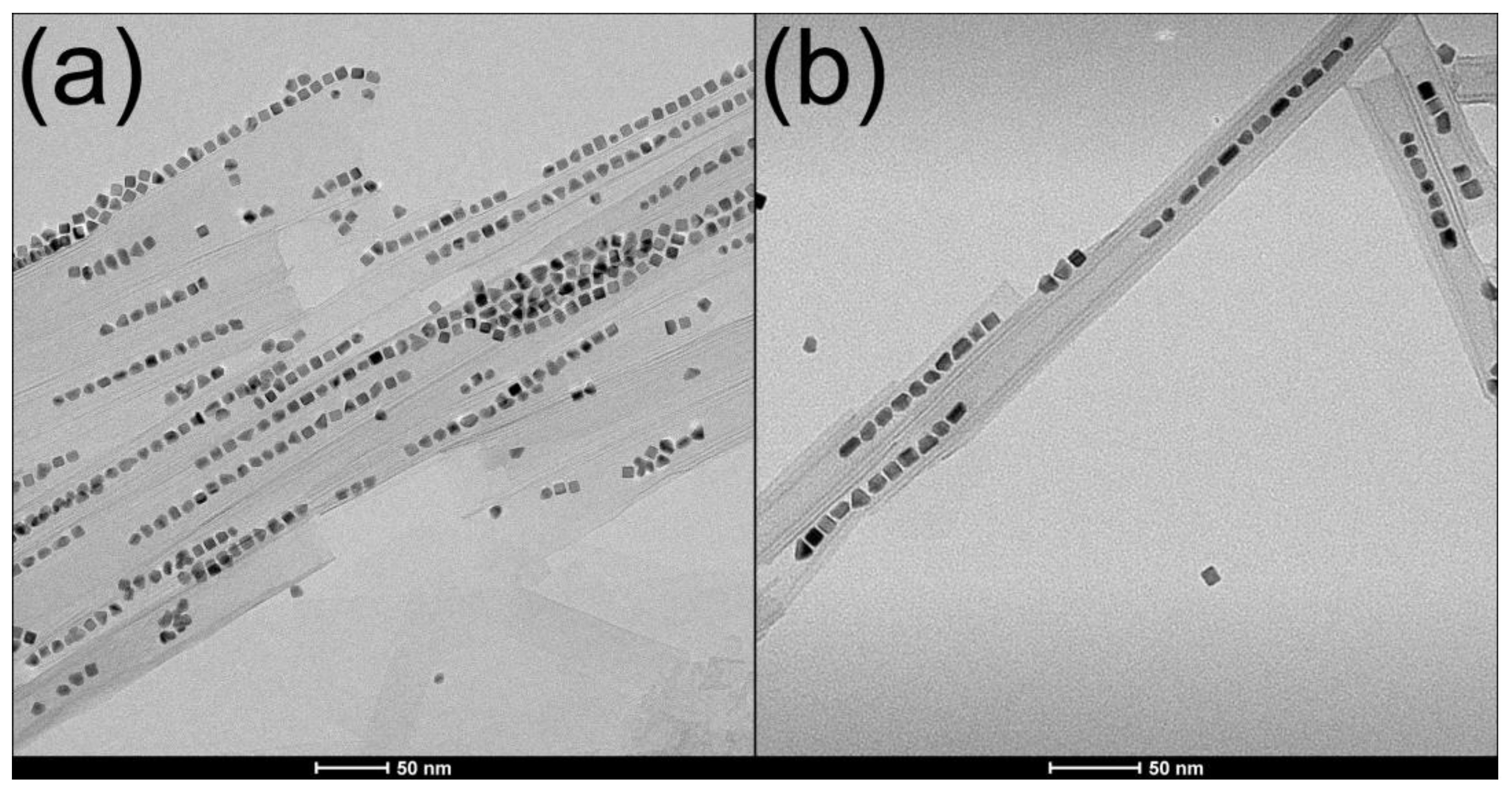 Molecules 26 03647 g005