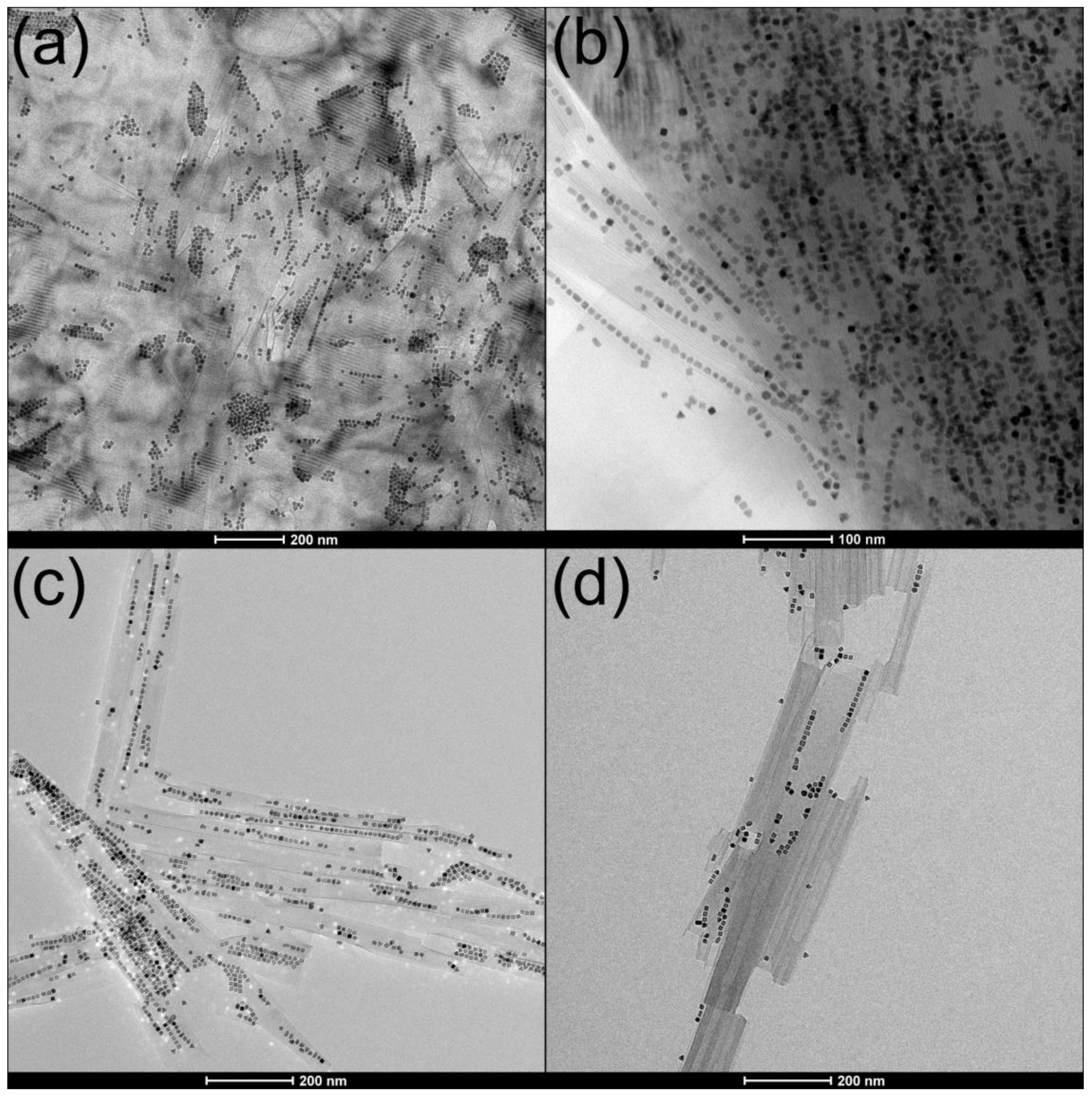 Molecules 26 03647 g006