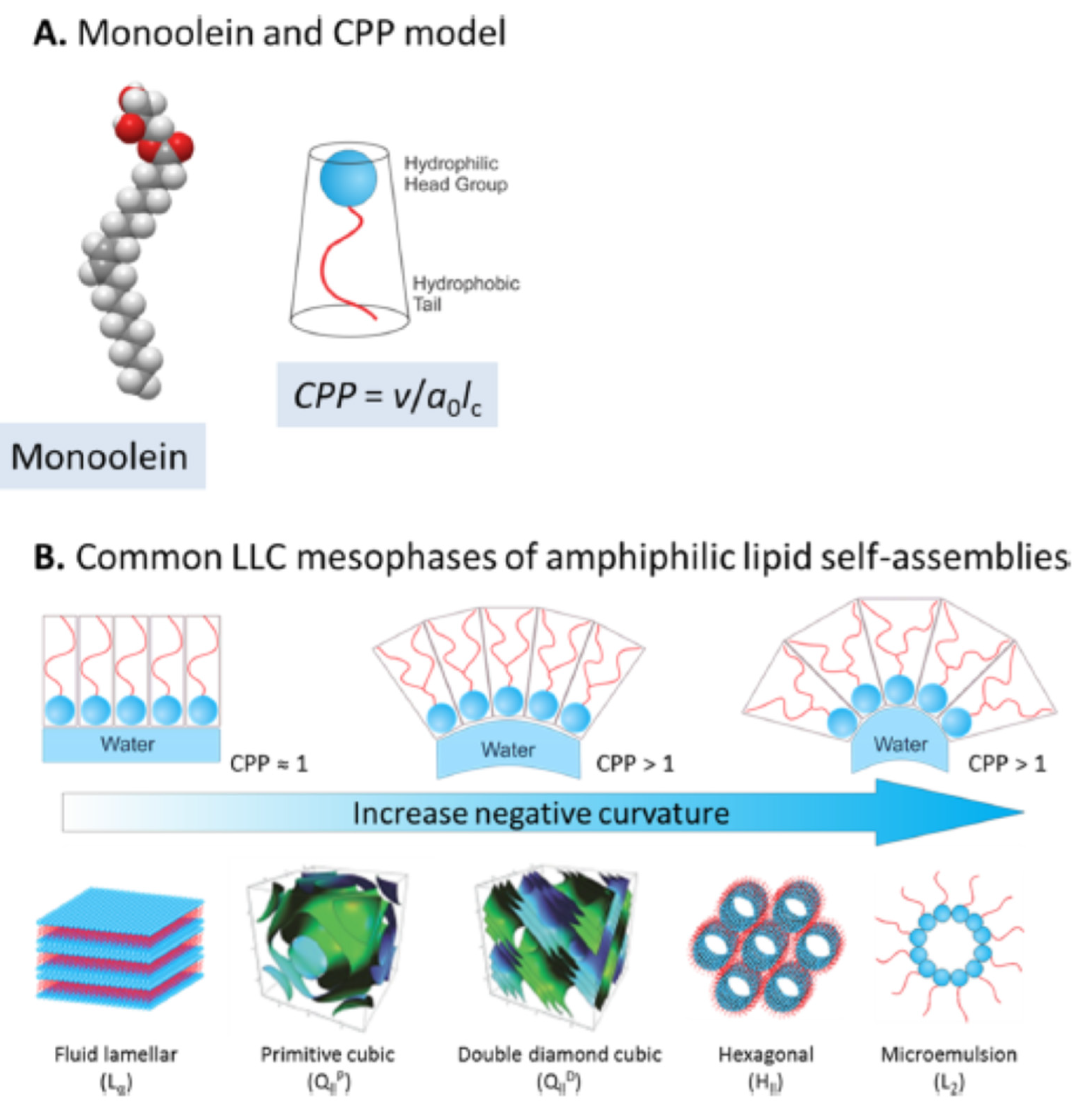 Molecules 26 03648 g001 Molecules 26 03648 g001