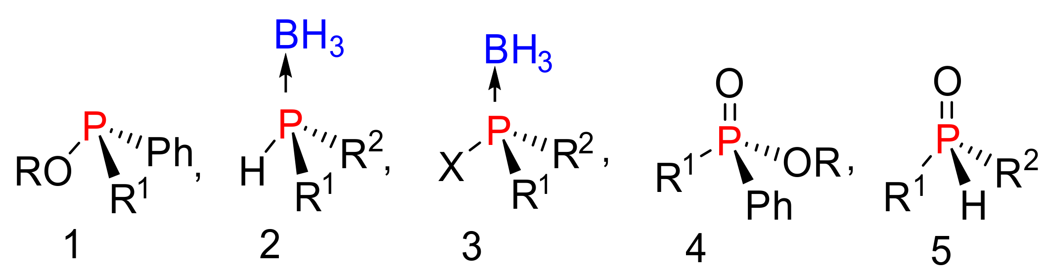 Molecules 26 03661 g001