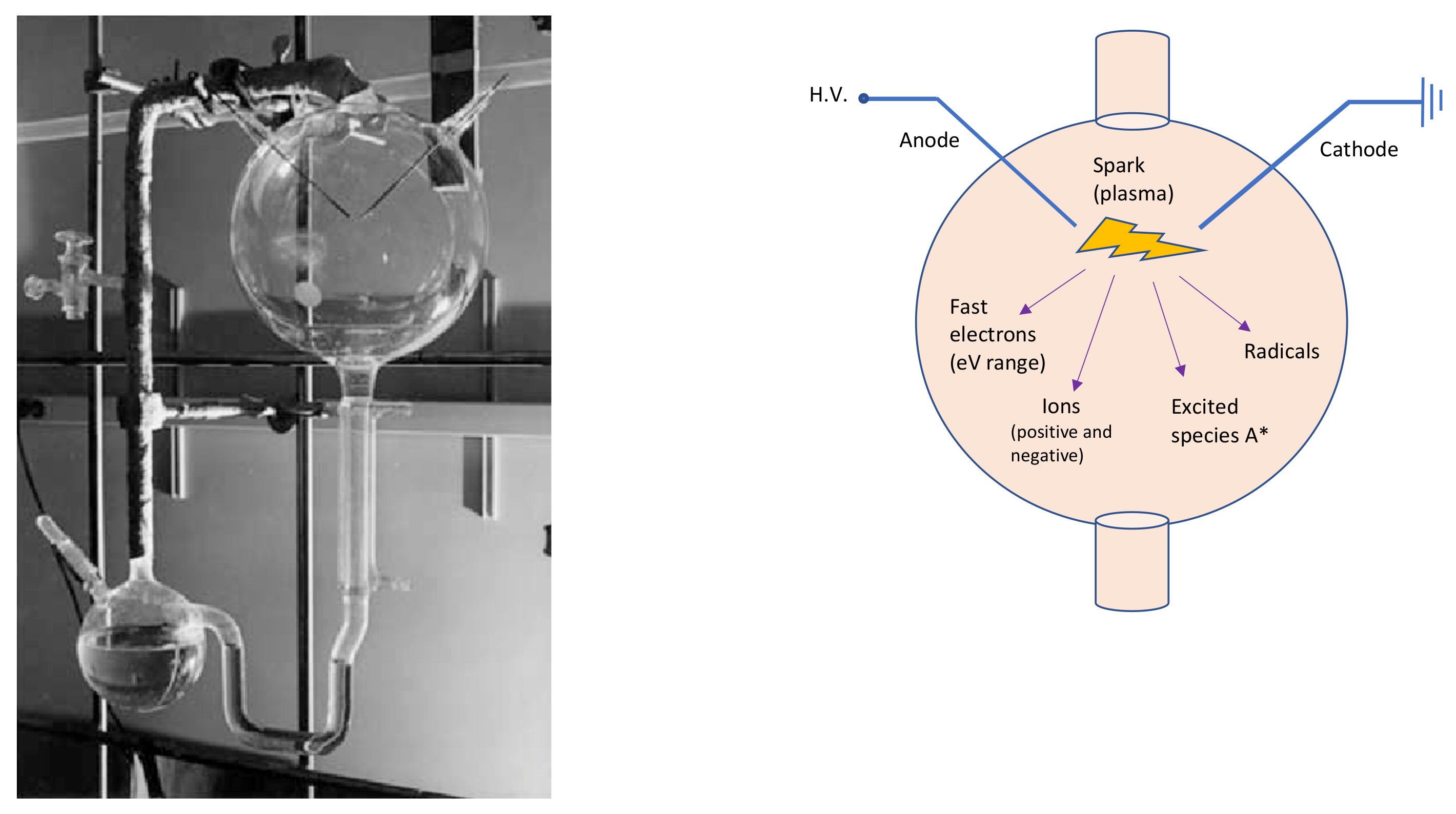 Molecules 26 03663 g001 Molecules 26 03663 g001