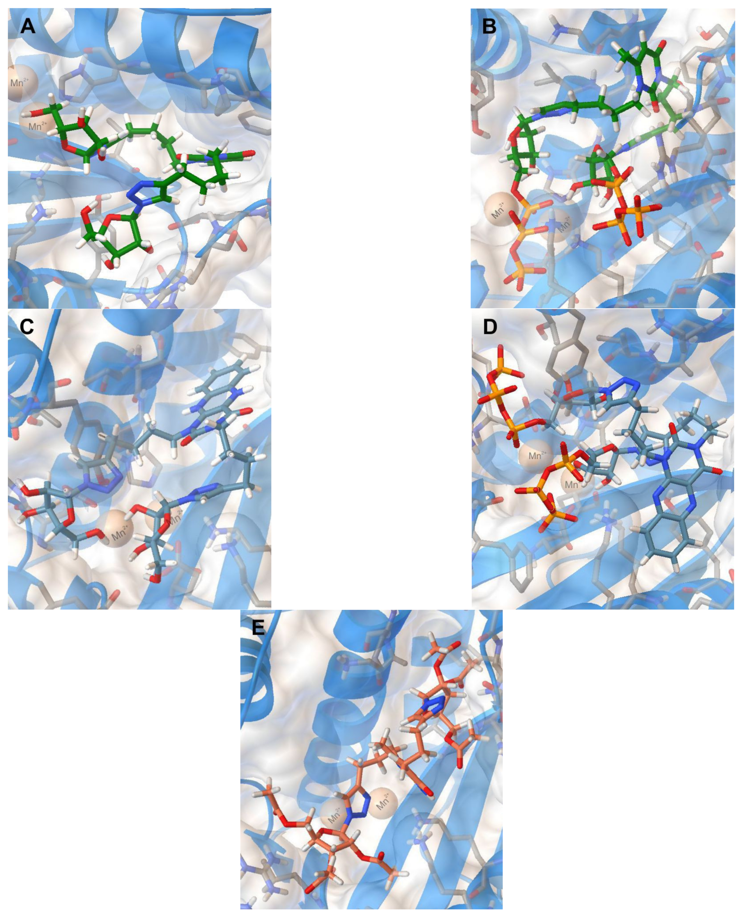 Molecules 26 03678 g003