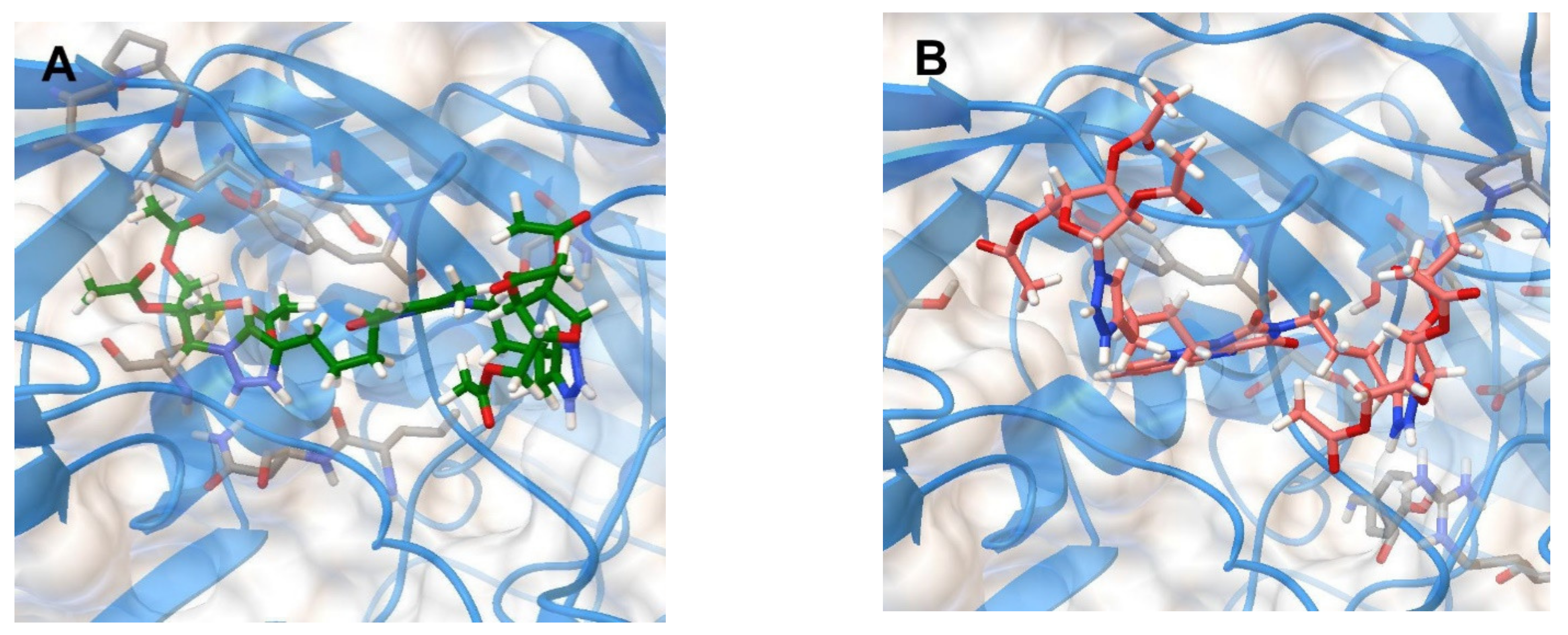 Molecules 26 03678 g004