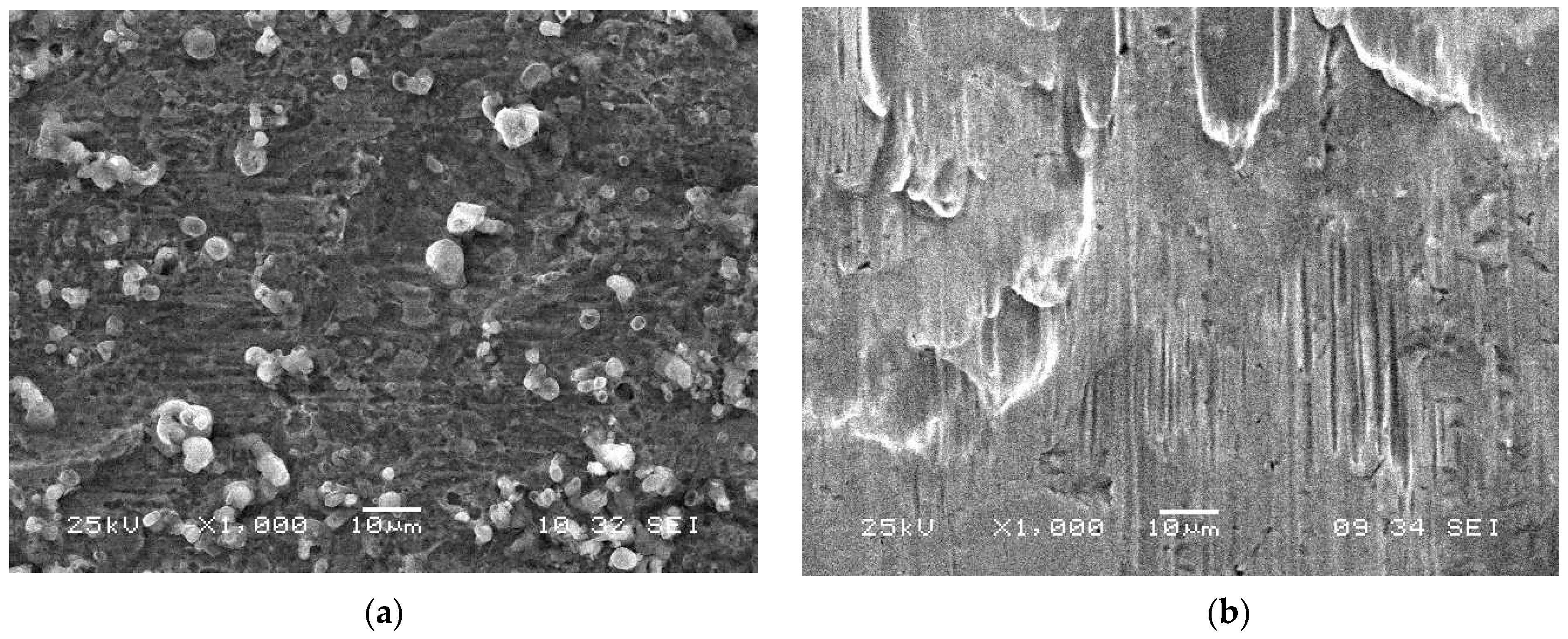 Molecules 26 03679 g009