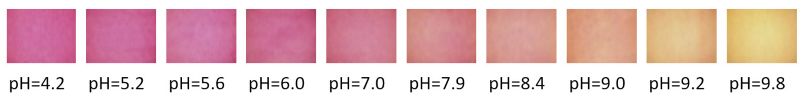 Molecules 26 03682 g001 Molecules 26 03682 g001