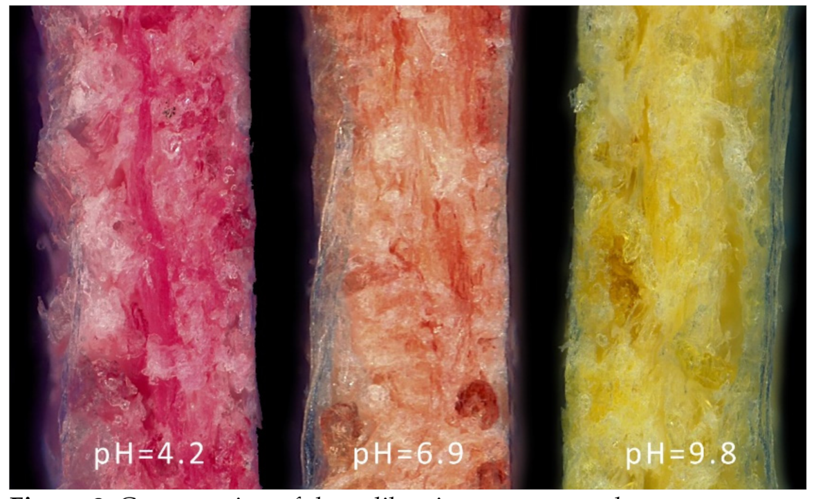 Molecules 26 03682 g002 Molecules 26 03682 g002