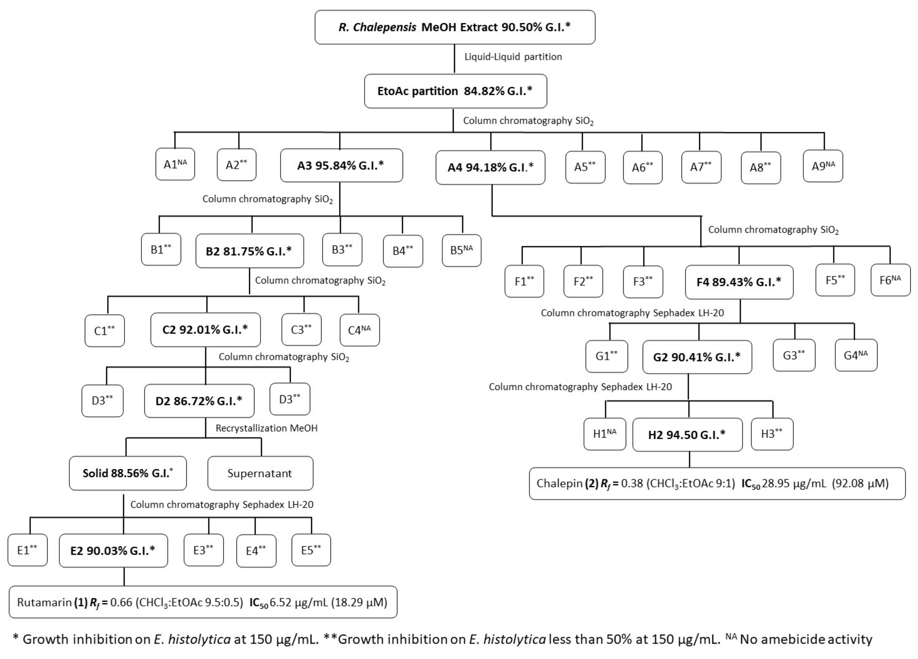 Molecules 26 03684 g001