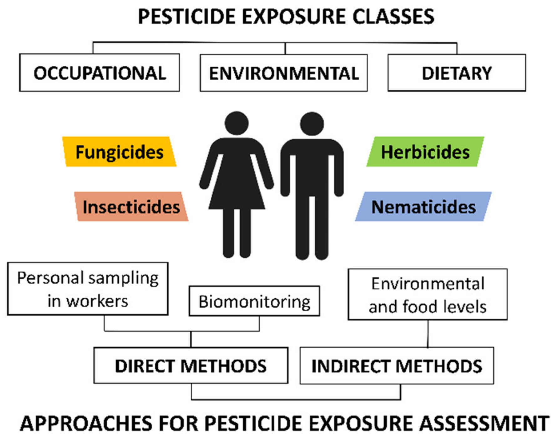 Molecules 26 03688 g001 Molecules 26 03688 g001