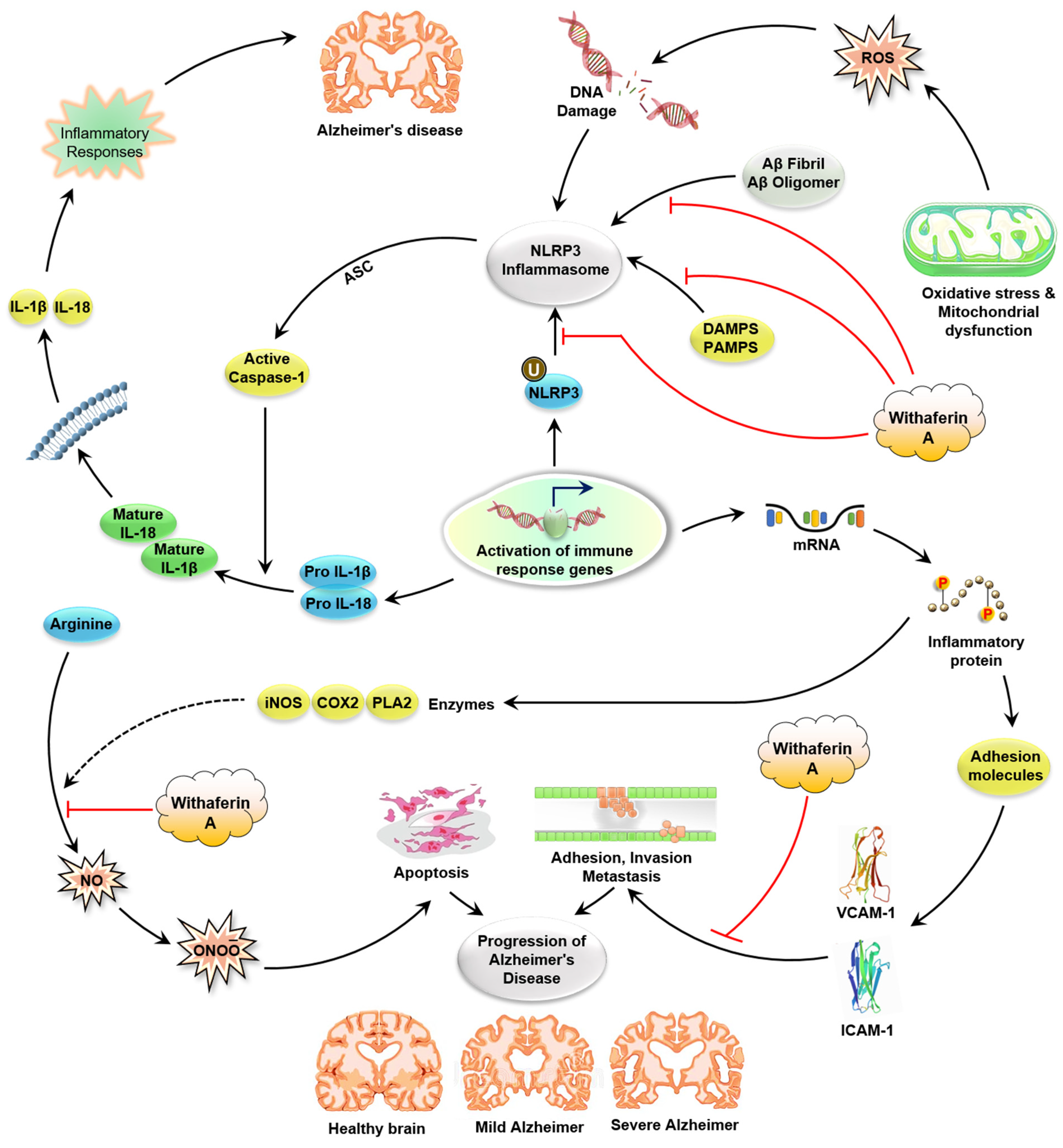 Molecules 26 03696 g003