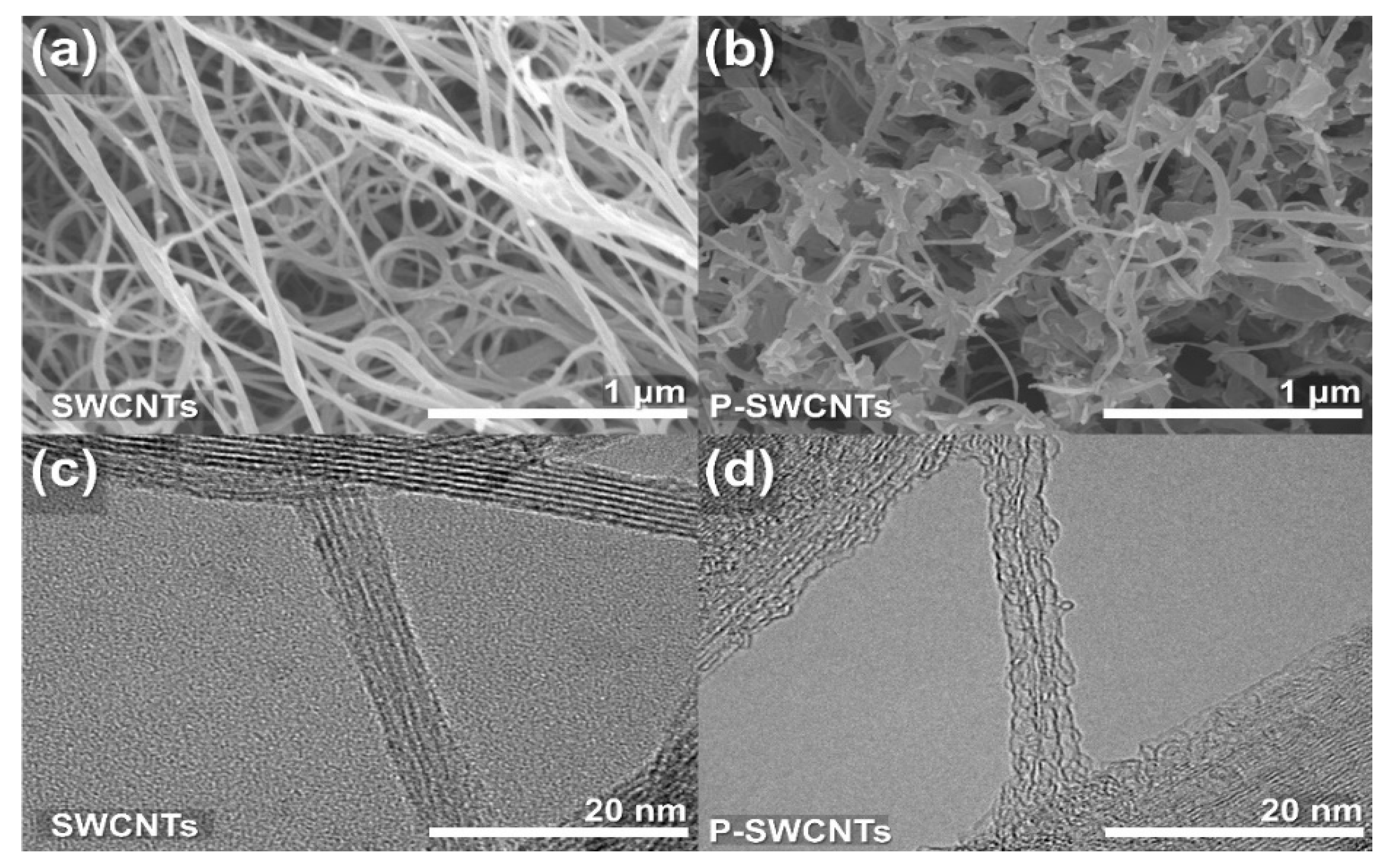 Molecules 26 03698 g003