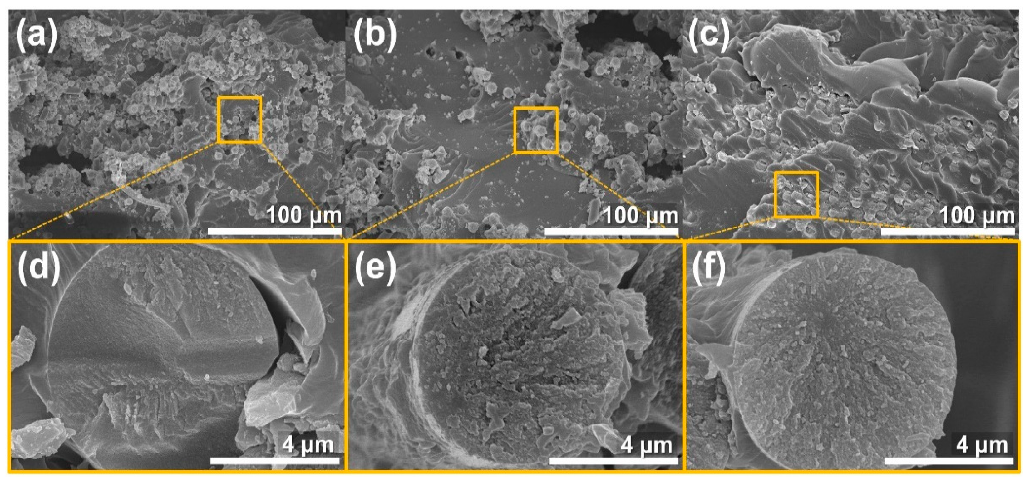 Molecules 26 03698 g007