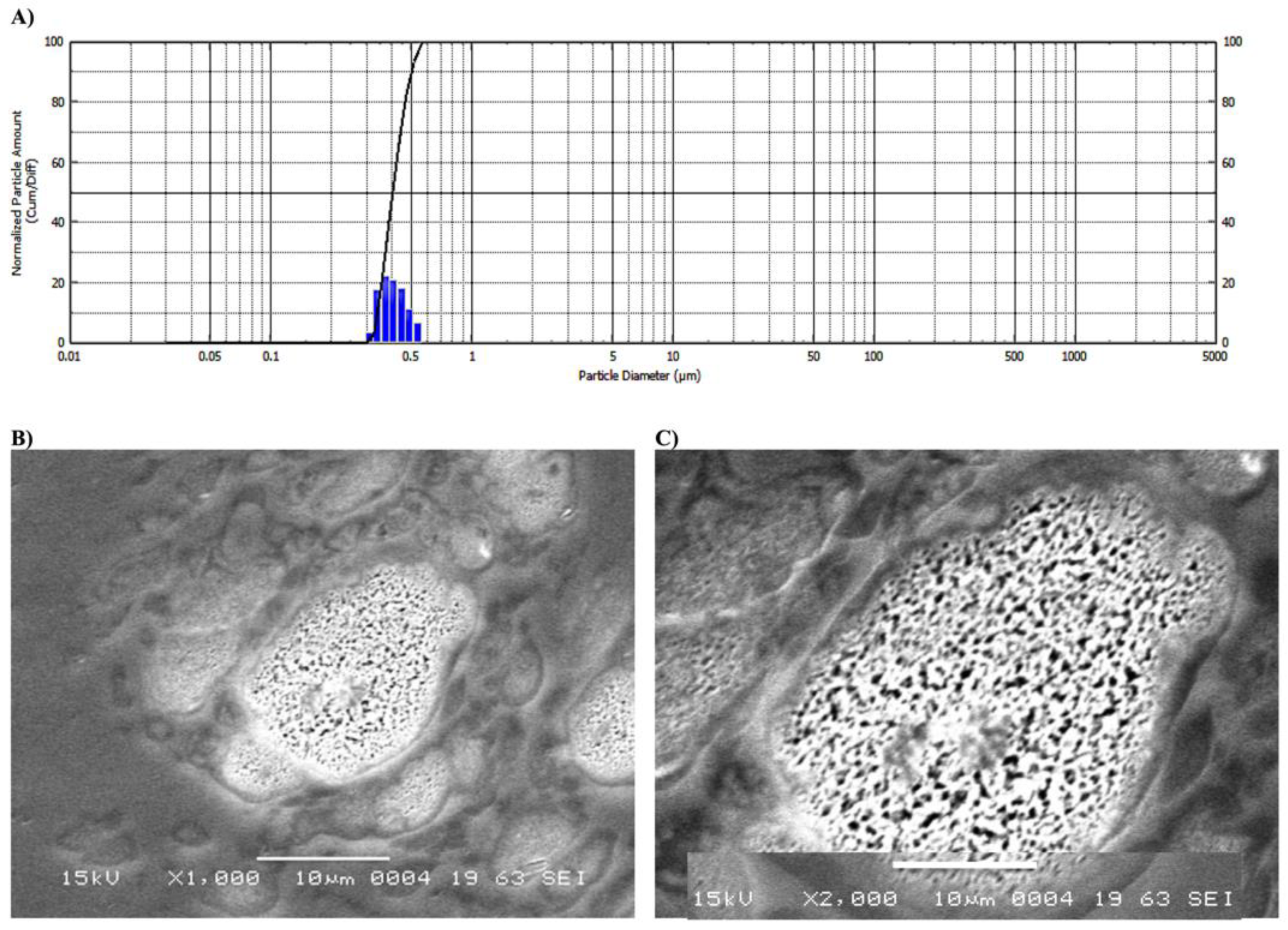 Molecules 26 03701 g002 Molecules 26 03701 g002