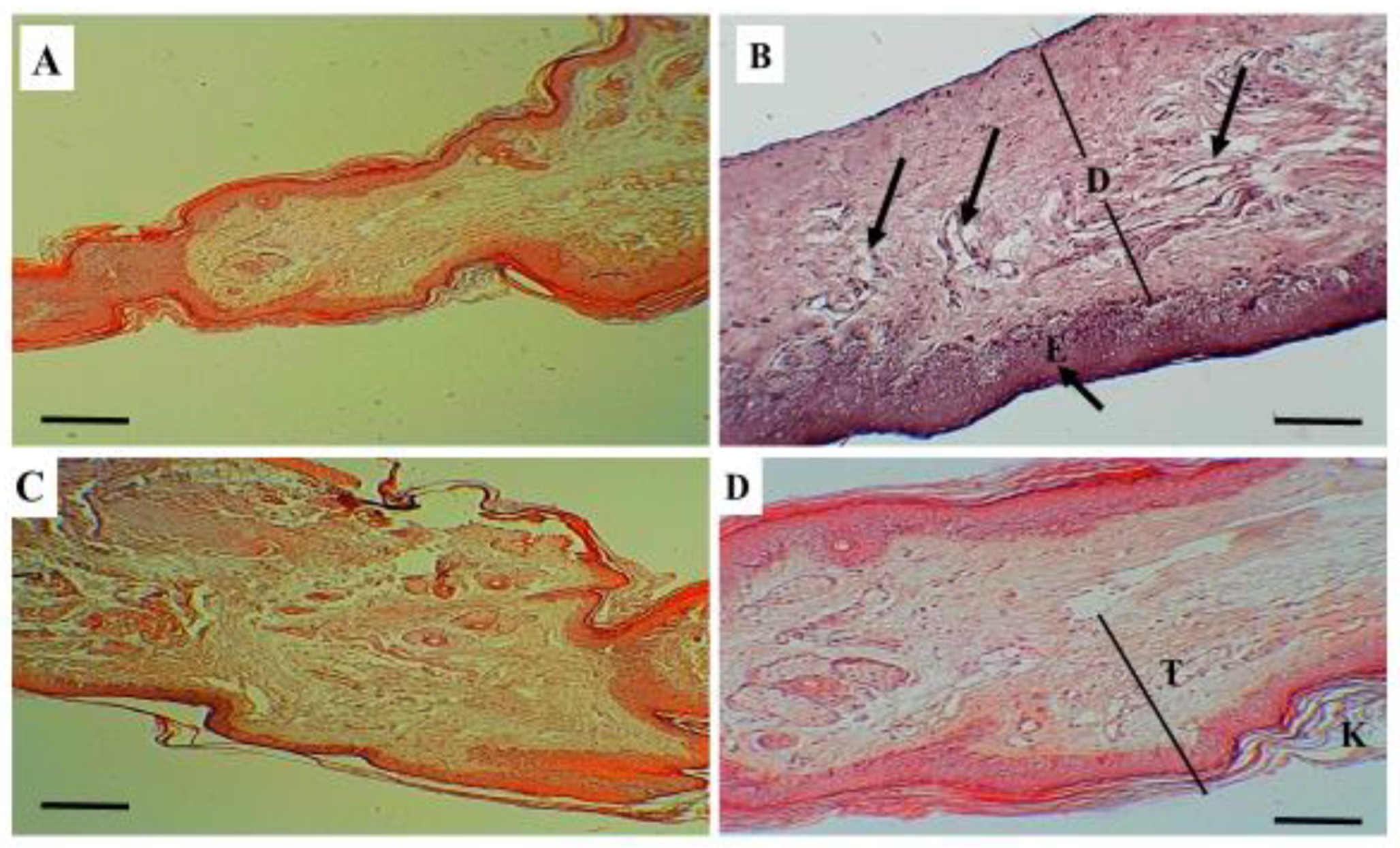 Molecules 26 03701 g005 Molecules 26 03701 g005