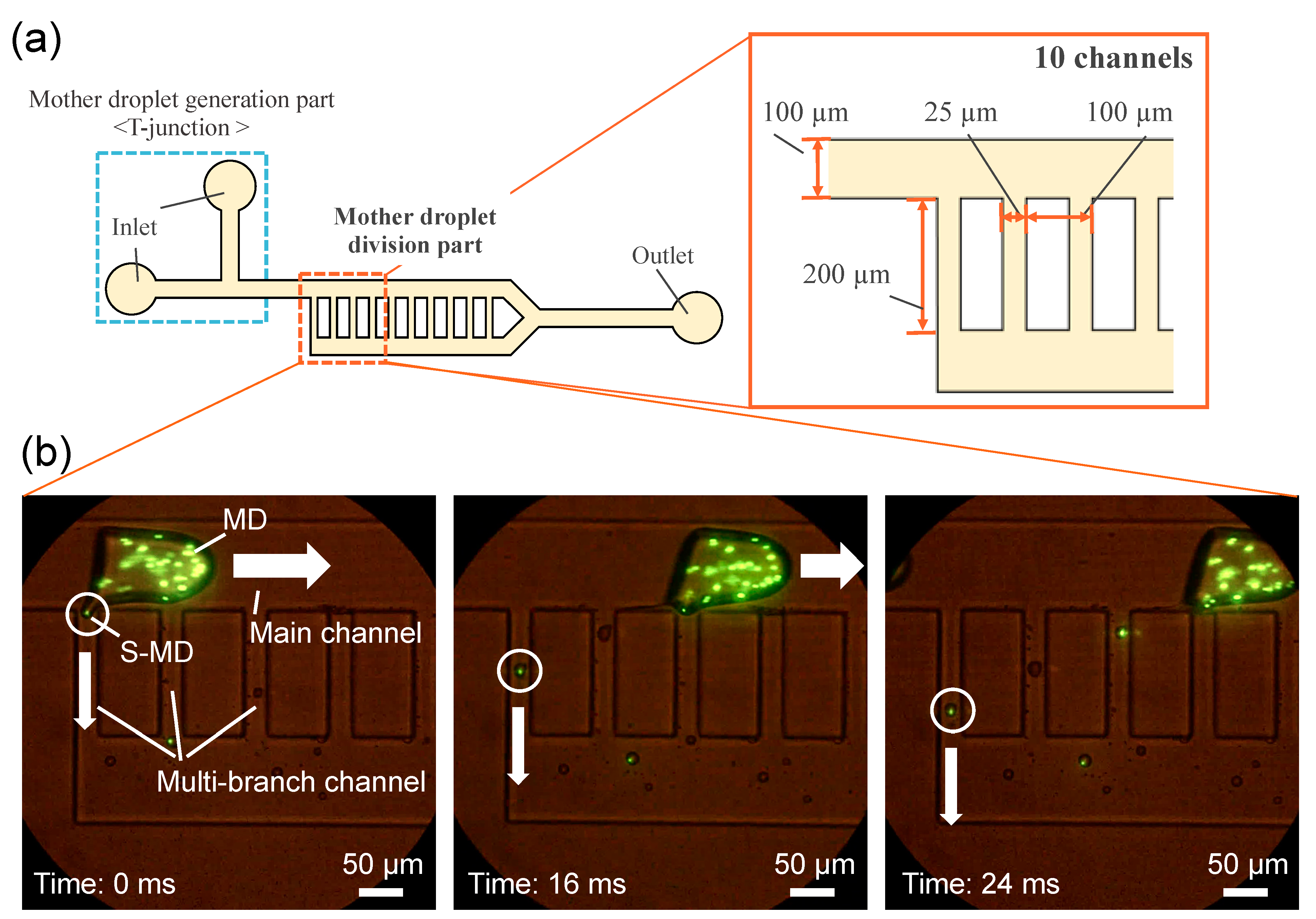 Molecules 26 03707 g001 Molecules 26 03707 g001