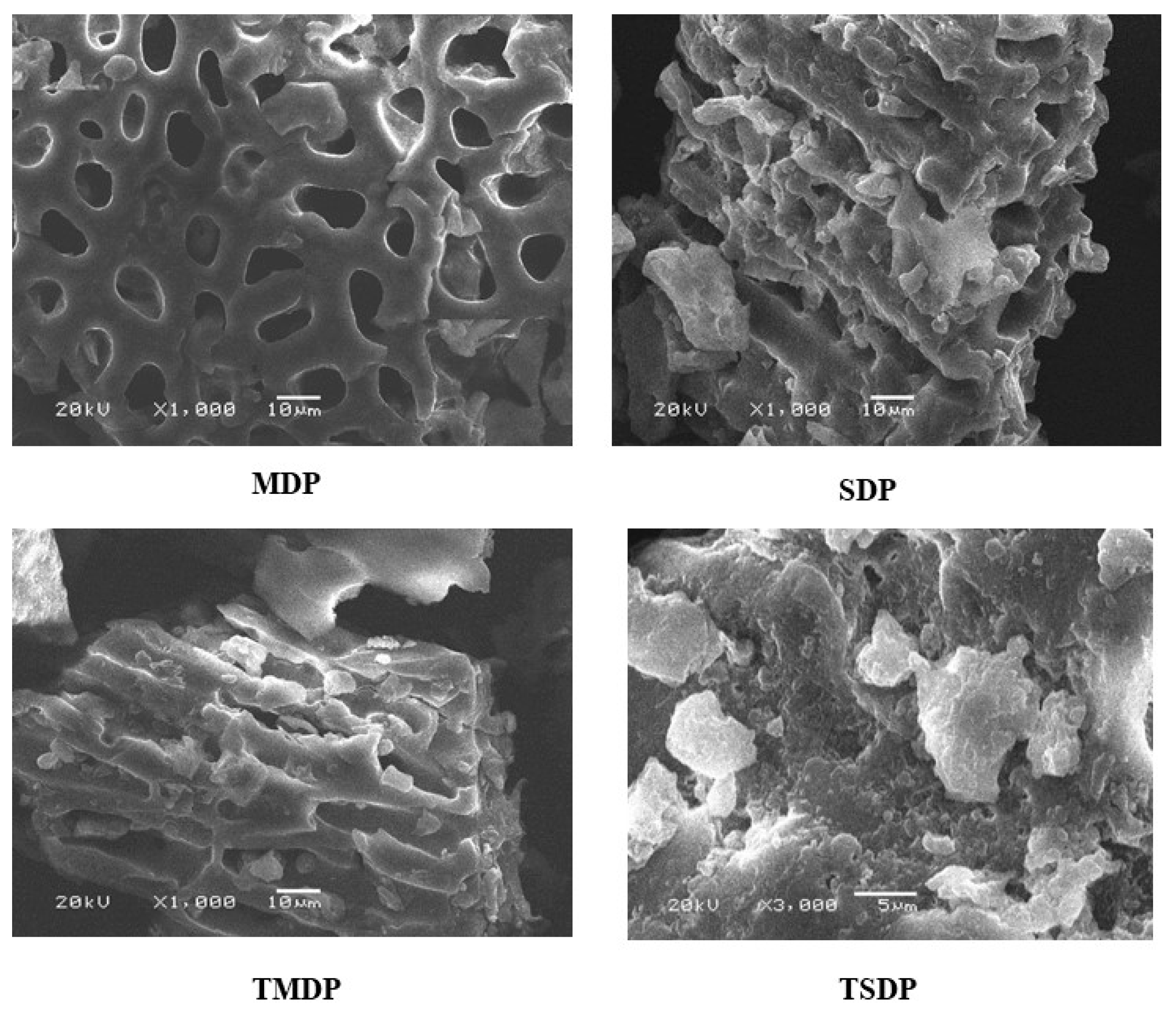 Molecules 26 03718 g002 Molecules 26 03718 g002